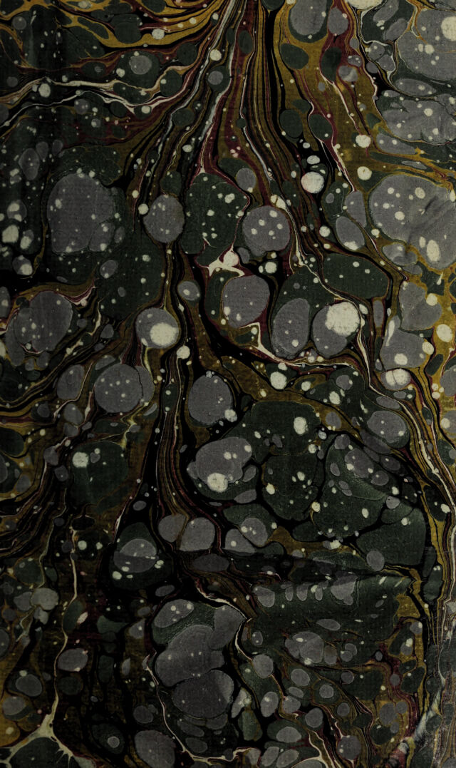 digitised image 3