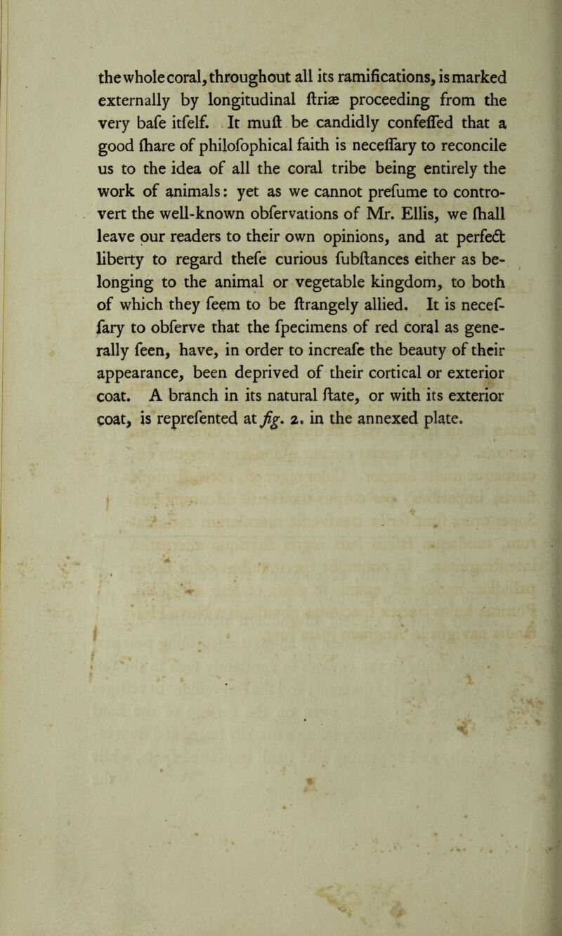 the whole coral, throughout all its ramifications, is marked externally by longitudinal ftrise proceeding from the very bafe itfelf. It mull be candidly confefied that a good (hare of philofophical faith is neceflary to reconcile us to the idea of all the coral tribe being entirely the work of animals: yet as we cannot prefume to contro- vert the well-known obfervations of Mr. Ellis, we (hall leave pur readers to their own opinions, and at perfed liberty to regard thefe curious fubftances either as be- longing to the animal or vegetable kingdom, to both of which they feem to be ftrangely allied. It is necef- fary to obferve that the fpecimens of red coral as gene- rally feen, have, in order to increafe the beauty of their appearance, been deprived of their cortical or exterior coat. A branch in its natural ft ate, or with its exterior coat, is reprefented at fig. 2. in the annexed plate.