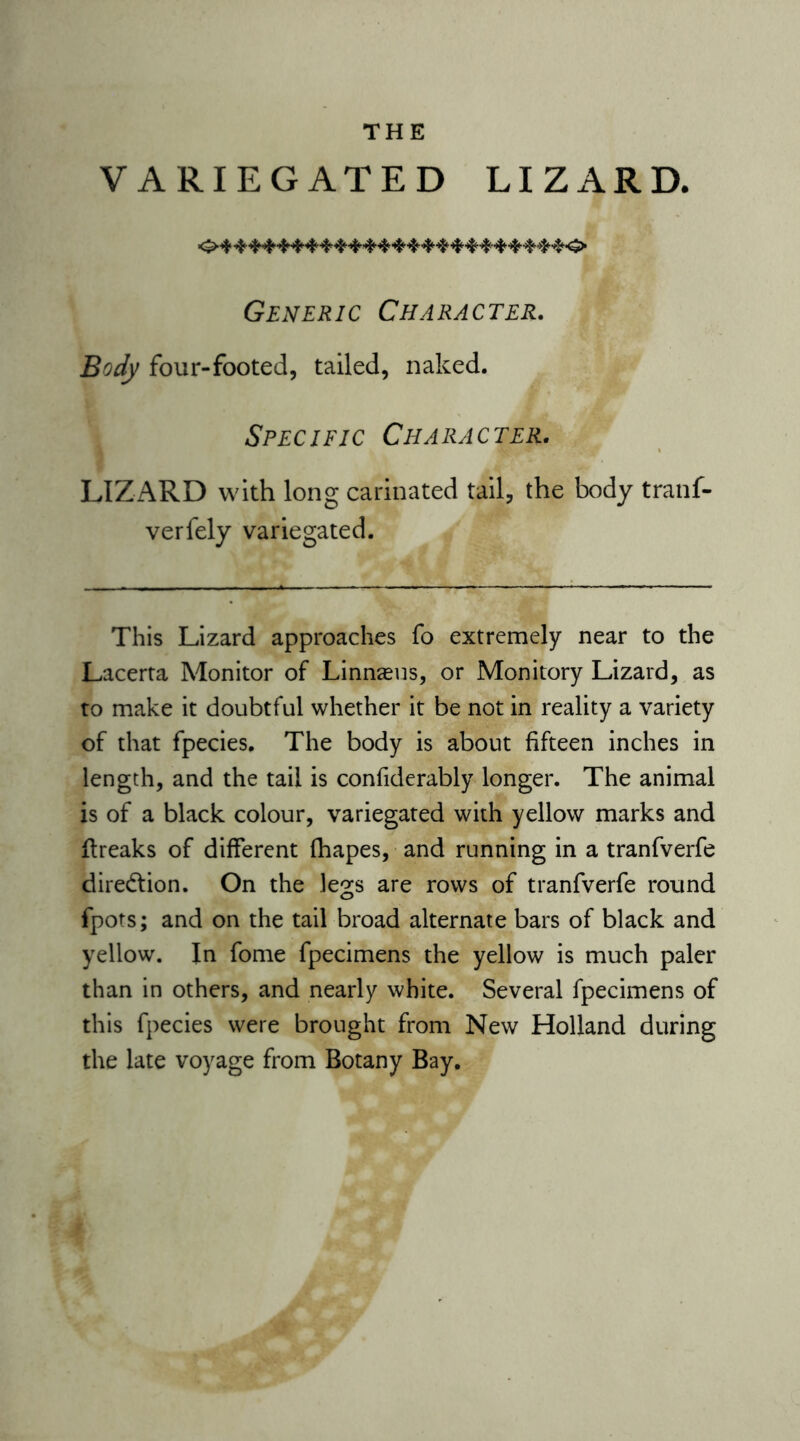 VARIEGATED LIZARD. Generic Character. Body four-footed, tailed, naked. Specific Character. LIZARD with long carinated tail, the body tranf- verfely variegated. This Lizard approaches fo extremely near to the Lacerta Monitor of Linnaeus, or Monitory Lizard, as to make it doubtful whether it be not in reality a variety of that fpecies. The body is about fifteen inches in length, and the tail is confiderably longer. The animal is of a black colour, variegated with yellow marks and ftreaks of different fhapes, and running in a tranfverfe direction. On the legs are rows of tranfverfe round fpots; and on the tail broad alternate bars of black and yellow. In fome fpecimens the yellow is much paler than in others, and nearly white. Several fpecimens of this fpecies were brought from New Holland during the late voyage from Botany Bay.