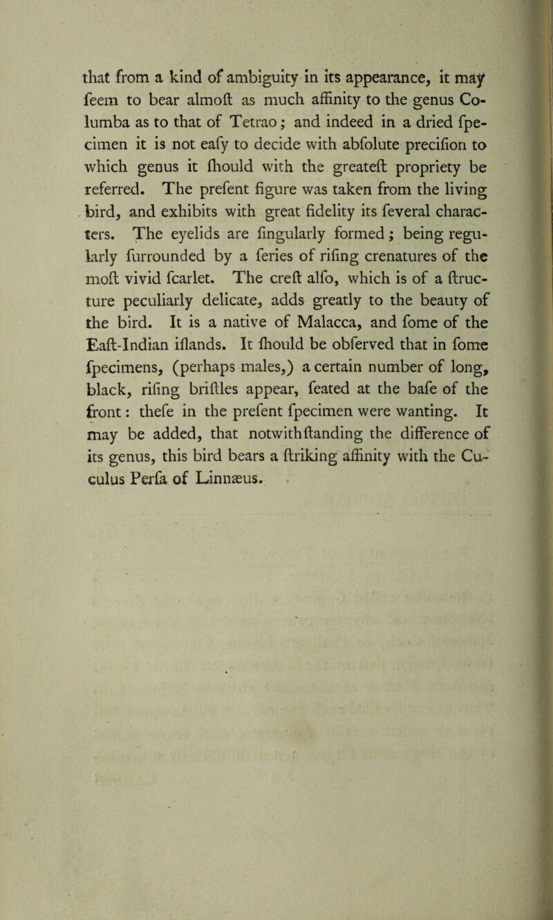 feem to bear almoft as much affinity to the genus Co- lumba as to that of Tetrao; and indeed in a dried fpe- cimen it is not eafy to decide with abfolute precilion to which genus it Ihould with the greateft propriety be referred. The prefent figure was taken from the living bird, and exhibits with great fidelity its feveral charac- ters. The eyelids are fingularly formed; being regu- larly furrounded by a feries of riling crenatures of the moft vivid fcarlet. The creft alfo, which is of a ftruc- ture peculiarly delicate, adds greatly to the beauty of the bird. It is a native of Malacca, and fome of the Eaft-Indian iflands. It fhould be obferved that in fome fpecimens, (perhaps males,) a certain number of long, black, riling briftles appear, feated at the bafe of the front: thefe in the prefent fpecimen were wanting. It may be added, that notwithHanding the difference of its genus, this bird bears a flriking affinity with the Cu- culus Perfa of Linnaeus.