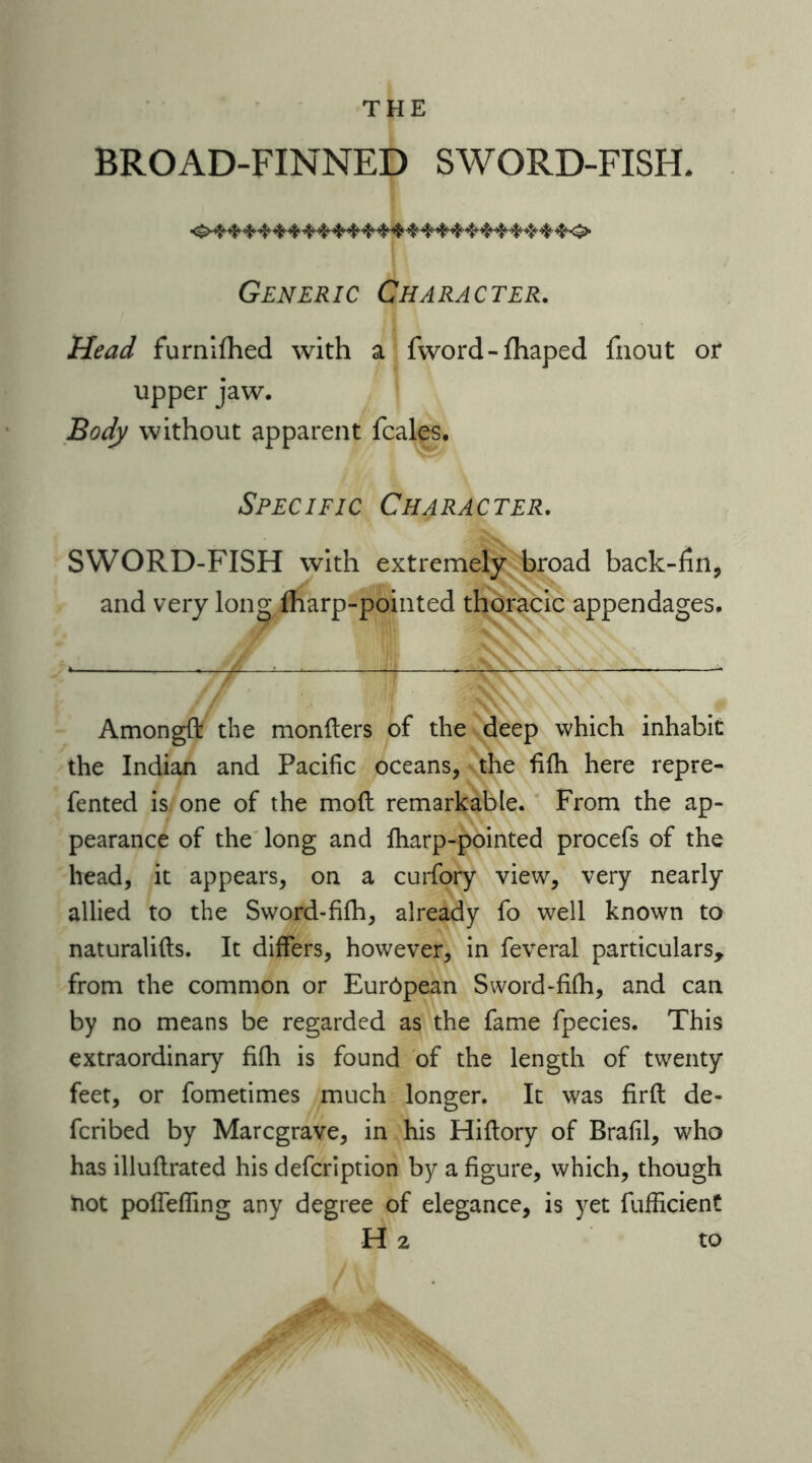 BROAD-FINNED SWORD-FISH. Generic Character. Head furnifhed with a fword - fhaped fnout or upper jaw. Body without apparent fcales. Specific Character. SWORD-FISH with extremely broad back-fin, and very long (harp-pointed thoracic appendages. Amongft the monfters of the deep which inhabit the Indian and Pacific oceans, the fifh here repre- fented is. one of the moft remarkable. From the ap- pearance of the long and fharp-pointed procefs of the head, it appears, on a curfory view, very nearly allied to the Sword-fifh, already fo well known to naturalifts. It differs, however, in feveral particulars, from the common or Eur6pean Sword-fifh, and can by no means be regarded as the fame fpecies. This extraordinary fifh is found of the length of twenty feet, or fometimes much longer. It was firft de- fcribed by Marcgrave, in his Hiftory of Brafil, who has illuflrated his defcription by a figure, which, though not pofTeffing any degree of elegance, is yet fufficient H 2 to