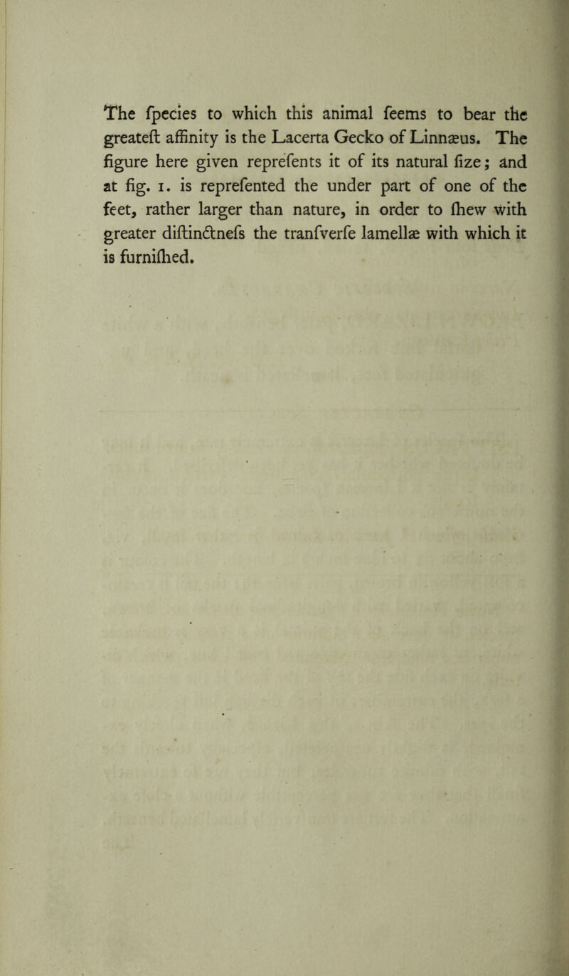 The fpecies to which this animal Teems to bear the greatefl affinity is the Lacerta Gecko of Linnaeus. The figure here given reprefents it of its natural fize; and at fig. i. is reprefented the under part of one of the feet, rather larger than nature, in order to fhew with greater diftindnefs the tranfverfe lamellae with which it is furniflied.