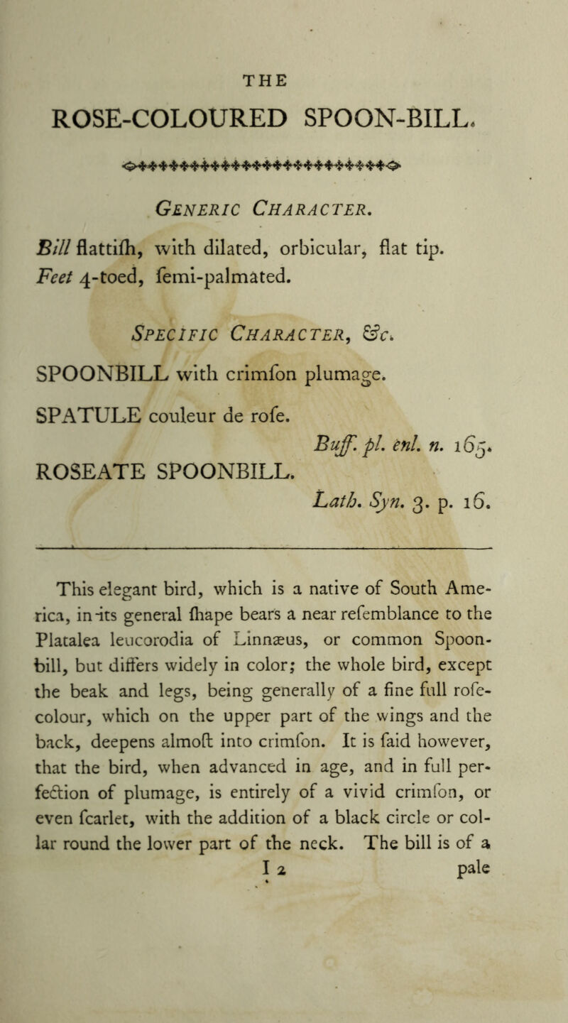 ROSE-COLOURED SPOON-BILL. Generic Character. Bill flattifli, with dilated, orbicular, flat tip. Feet 4-toed, femi-palmated. Specific Character, SPOONBILL with crimfon plumage. SPATULE couleur de rofe. Buff. pi. enl. n. 165* ROSEATE SPOONBILL. Lath. Syn. 3. p. 16. This elegant bird, which is a native of South Ame- rica, in-its general fhape bears a near refemblance to the Platalea leucorodia of Linnaeus, or common Spoon- bill, but differs widely in color; the whole bird, except the beak and legs, being generally of a fine full rofe- colour, which on the upper part of the wings and the back, deepens almoft into crimfon. It is faid however, that the bird, when advanced in age, and in full per- fection of plumage, is entirely of a vivid crimfon, or even fcarlet, with the addition of a black circle or col- lar round the lower part of the neck. The bill is of a