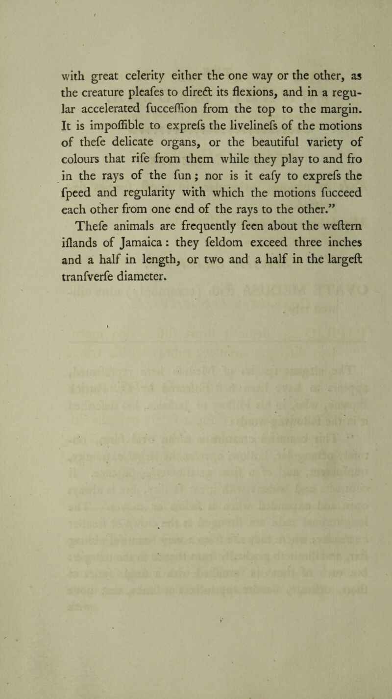 with great celerity either the one way or the other, as the creature pleafes to direft its flexions, and in a regu- lar accelerated fucceffion from the top to the margin. It is impoffible to exprefs the livelinefs of the motions of thefe delicate organs, or the beautiful variety of colours that rife from them while they play to and fro in the rays of the fun; nor is it eafy to exprefs the fpeed and regularity with which the motions fucceed each other from one end of the rays to the other.” Thefe animals are frequently feen about the weftern iflands of Jamaica: they feldom exceed three inches and a half in length, or two and a half in the largeft tranfverfe diameter.