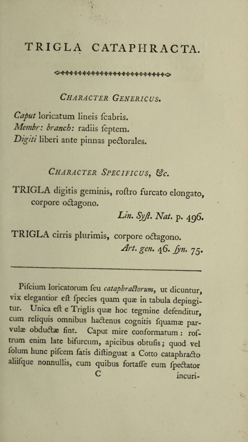 TRIGLA CATAPHRACTA. Character Genericus. Caput loricatum lineis fcabris. Membr: branch: radiis feptem. Digiti liberi ante pinnas pe&orales. Character Specificus, &c. TRIGLA digitis geminis, roftro furcato elongato, corpore o&agono. Lm. Syjl. Nat. p. 496. TRIGLA cirris plurimis, corpore odtagono. Art. gen. 46. fyn. 75. Pifcium loricatorum feu cataphractorum, ut dicuntur, vix elegantior ell fpecies quam qux in tabula depingi- tur. Unica eft e Triglis qua hoc tegmine defenditur, cum reliquis omnibus hadlenus cognitis fquamas par- vulas obdu&ae Tint. Caput mire conformatum: rof- trum emm late bifurcum, apicibus obtufis; quod vel folum hunc pifcem fatis diftinguat a Cotto cataphradlo aliifque nonnullis, cum quibus fortafle eum fpe&ator C incuri-