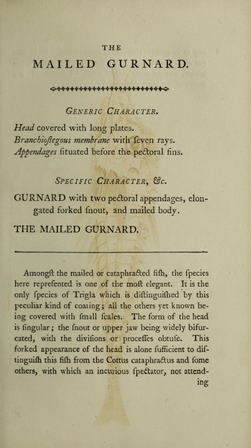 MAILED GURNARD. ... *. ... .. A ■», A ■». »» Generic Character. Head covered with long plates. Branchiojiegous membrane with feven rays. Appendages fituated before the pe&oral fins. Specific Character, ©c. GURNARD with two pe£loral appendages, elon- gated forked fnout, and mailed body. THE MAILED GURNARD. Amongft the mailed or cataphra&ed fifli, the fpecies here reprefented is one of the mod elegant. It is the only fpecies of Trigla which is diftinguifhed by this peculiar kind of coating; all the others yet known be- ing covered with fmall fcales. The form of the head is lingular; the fnout or upper jaw being widely bifur- cated, with the divifions or procedes obtufe. This forked appearance of the head is alone fufficient to dif- tinguifh this filh from the Cottus cataphra&us and fome others, with which an incurious fpe&ator, not attend- ing