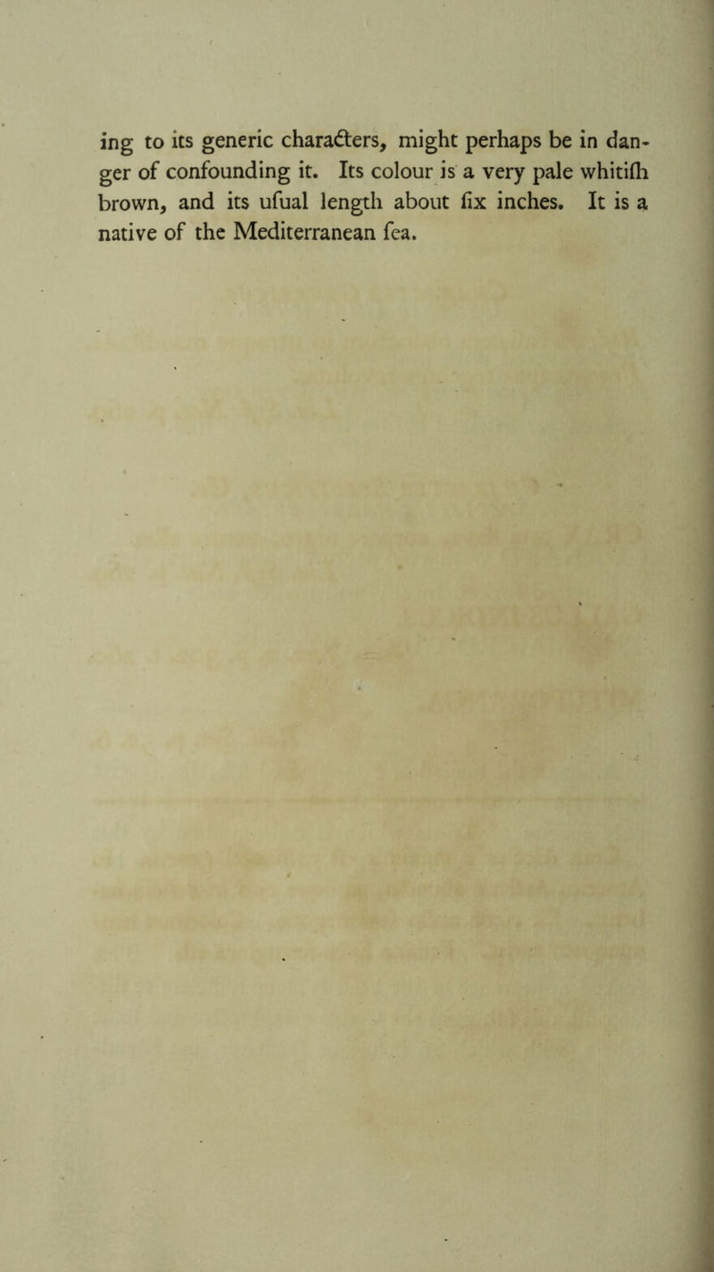 ing to its generic chara&ers, might perhaps be in dan- ger of confounding it. Its colour is a very pale whitifli brown, and its ufual length about fix inches. It is a native of the Mediterranean fea.