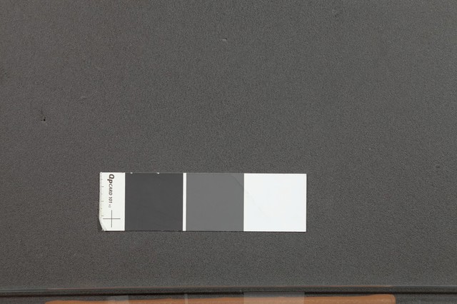 No text description is available for this image