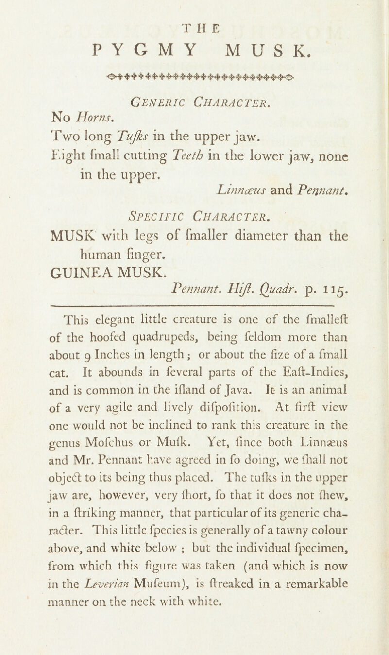 T H E PYGMY MUSK. Generic Character. No Horns. Two long Tujks in the upper jaw. Eight fmall cutting Teeth in the lower jaw, none in the upper. Liwiteus and Pennant. Specific Character. MUSK with legs of fmaller diameter than the human finger. GUINEA MUSK. Pennant. Hiji. Quadr. p. 115. This elegant little creature is one of the fmalleft of the hoofed quadrupeds, being feldom more than about 9 Inches in length ; or about the fize of a fmall cat. It abounds in feveral parts of the Eaft-Indies, and is common in the ifland of Java. It is an animal of a very agile and lively difpofition. At firft view one would not be inclined to rank this creature in the genus Mofchus or Mulk. Yet, fince both Linnaeus and Mr. Pennant have agreed in fo doing, we fhall not objedl to its being thus placed. The tufks in the upper jaw are, however, very ihort, fo that it does not (hew, in a ftriking manner, that particular of its generic cha- racter. This little fpecies is generally of a tawny colour above, and white below ; but the individual fpecimen, from which this figure was taken (and which is now in the Leverian Mufeum), is ftreaked in a remarkable manner on the neck with white.