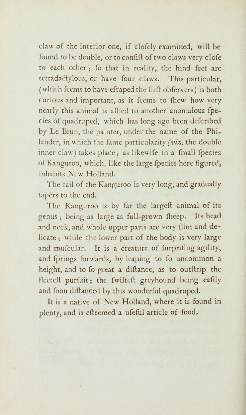 claw of the interior one, if clofely examined, will be found to be double, or toconfift of two claws very clofe to each other • fo that in reality, the hind feet are tetradadtylous, or have four claws. This particular, (which feems to have efcaped the firft obfervers) is both curious and important, as it feems to {hew how very nearly this animal is allied to another anomalous fpe- cies of quadruped, which has long ago been defcribed by Le Brun, the painter, under the name of the Phi- lander, in which the fame particularity (viz. the double inner claw) takes place; as likewife in a fmall fpecies of Kanguroo, which, like the large fpecies here figured, inhabits New Holland. The tail of the Kanguroo is very long, and gradually tapers to the end. The Kanguroo is by far the largeft animal of its genus ; being as large as full-grown fheep. Its head and neck, and whole upper parts are very flim and de- licate ; while the lower part of the body is very large and mufcular. It is a creature of furprifing agility, and fprings forwards, by leaping to fo uncommon a height, and to fo great a diftance, as to outftrip the fleeted purfuit; the fwifteft greyhound being eafily and foon diftanced by this wonderful quadruped. It is a native of New Holland, where it is found in plenty, and is cfteemed a ufeful article of food.