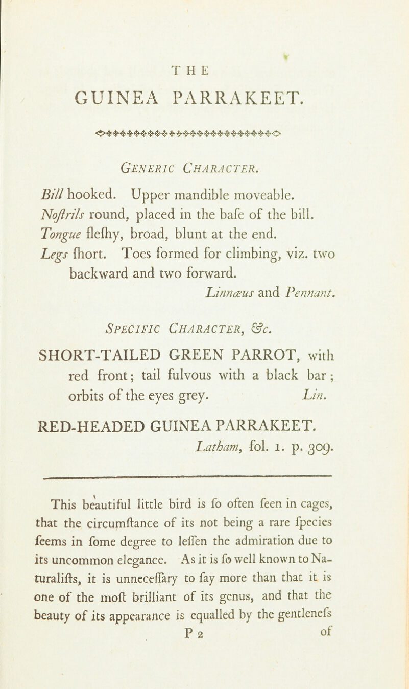 GUINEA PARRAKEET. Generic Character. Bill hooked. Upper mandible moveable. Noftrils round, placed in the bafe of the bill. Tongue flefhy, broad, blunt at the end. Legs fhort. Toes formed for climbing, viz. two backward and two forward. Linnceus and Pennant. Specific Character, &c. SHORT-TAILED GREEN PARROT, with red front; tail fulvous with a black bar; orbits of the eyes grey. Lin. RED-HEADED GUINEA PARRAKEET. Latham, fol. l. p. 309. This beautiful little bird is fo often feen in cages, that the circujnftance of its not being a rare fpccies feems in fome degree to leffen the admiration due to its uncommon elegance. As it is fo well known to Na- turalifts, it is unnecefTary to fay more than that it is one of the mod brilliant of its genus, and that the beauty of its appearance is equalled by the gentlenefs p2 of