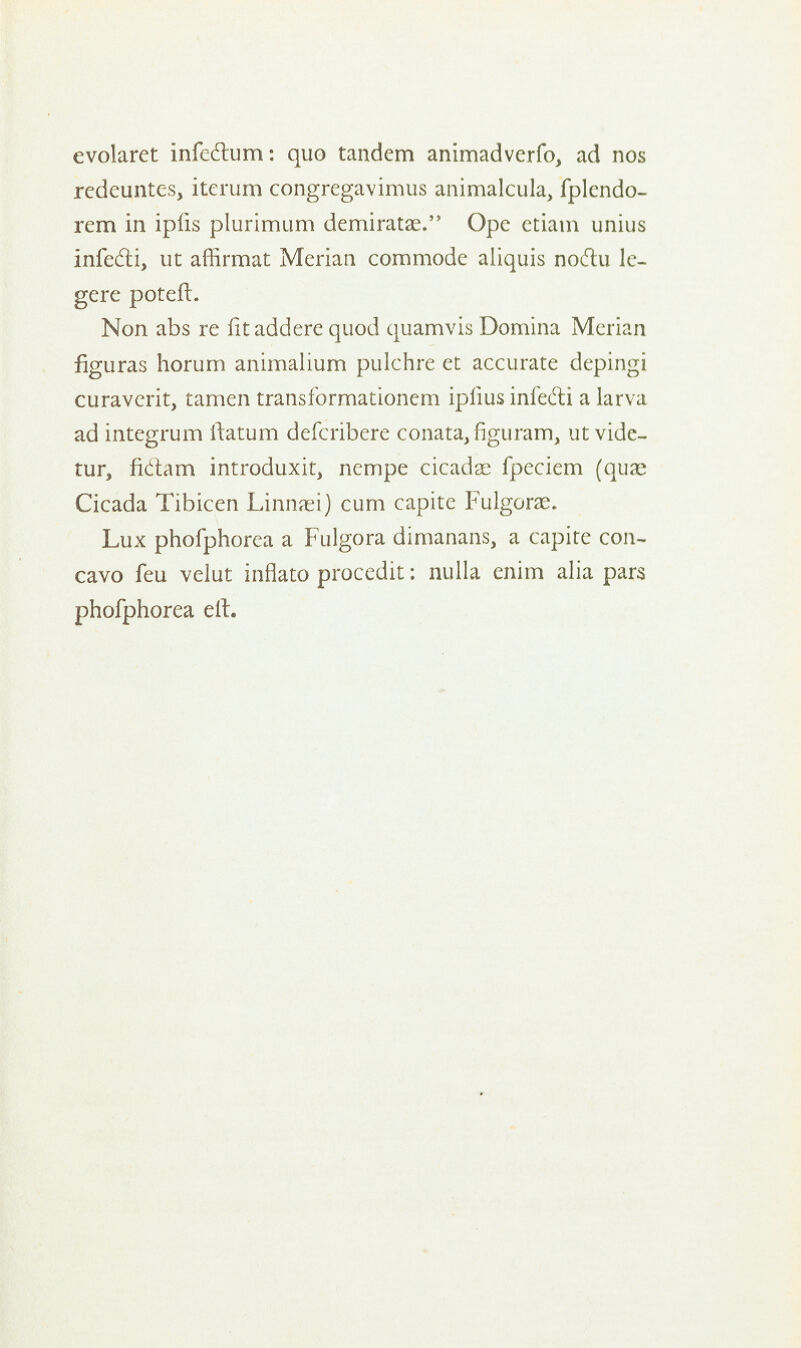 evolaret infcdlum: quo tandem animadverfo, ad nos rcdeuntcs, iterum congregavimus animalcula, fplendo- rem in ipfis plurimum demiratae. Ope etiam unius infedti, ut affirmat Merian commode aliquis noftu lc- gere poteft. Non abs re fit addere quod quamvis Domina Merian figuras horum animalium pulchre et accurate depingi curavcrit, tamen transformationem iplius infedti a larva ad integrum ftatum defcribere conata^figuram, ut vide- tur, fidam introduxit, ncmpe cicadas fpeciem (quae Cicada Tibicen Linnaei) cum capite Fulgone. Lux phofphorea a Fulgora dimanans, a capite con- cavo feu velut inflato procedit: nulla enim alia pars phofphorea eft.