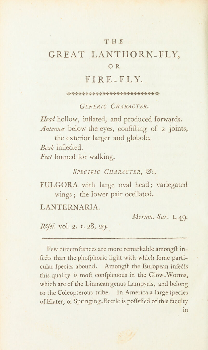 T H E GREAT LANTHORN-FLY, O R FIRE-FLY. Generic Character. Head hollow, inflated, and produced forwards- Antennte below the eyes, confifting of 2 joints, the exterior larger and globofe. Beak inflefted. Feet formed for walking. Specific Character, &c. FULGQRA with large oval head; variegated wings ; the lower pair ocellated. LANTERNARIA. Merian. Sur. t. 49. RofeL vol. 2. t. 28, 29. Few circumftances are more remarkable amongft in- fedts than the phofphoric light with which fome parti- cular fpecies abound. Amongft the European infedls this quality is moft confpicuous in the Glow-Worms, which are of the Linnaean genus Lampyris, and belong to the Coleopterous tribe. In America a large fpecies of Elater, or Springing-Beetle is pofTefTed of this faculty in