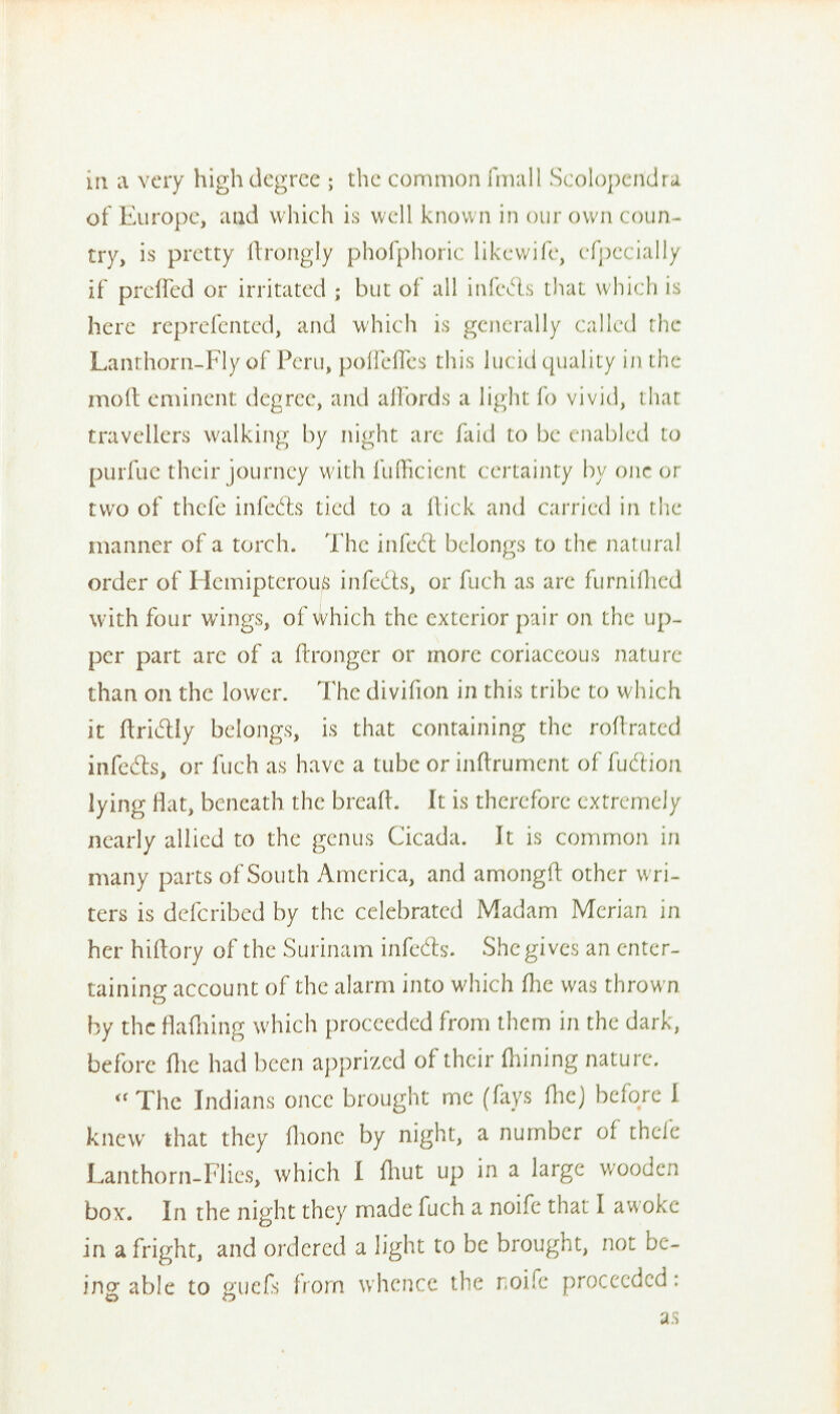 in a very high degree ; the common final! Scoloperfdra of Europe, and which is well known in our own < oun- try, is pretty ftrongly phofphoric likewife, efpei [ally if preffed or irritated ; but of all infe&s thai which is here reprefented, and which is generally called the Lanthorn-Fly of Peru, poflefles this lu( id quality in the mod eminent degree, and affords a light fo vivid, that travellers walking by night are faid to be enabled to purfue their journey withfufficient certainty by one or two of thefe infedts tied to a flick and carried in the manner of a torch. The infedt belongs to the natural order of Hemipterous infedts, or fuch as are furnifhed with four wings, of which the exterior pair on the up- per part are of a ftronger or more coriaceous nature than on the lower. Thedivifion in this tribe to which it ftritftly belongs, is that containing the rofl rated infedts, or fuch as have a tube or inftrument of fudiion lying Mat, beneath the breaft. It is therefore extremely nearly allied to the genus Cicada. It is common in many parts of South America, and amongfl other wri- ters is defcribed by the celebrated Madam Mcrian in her hiftory of the Surinam infedts. She gives an enter- taining account of the alarm into which (lie was thrown by the flafliing which proceeded from them in the dark, before (he had been apprized of their (liming nature.  The Indians once brought me (fays fhcj before 1 knew that they fhonc by night, a number of thefe Lanthorn-Flies, which 1 fliut up in a large wooden box. In the night they made fuch a noife that I awoke in a fright, and ordered a light to be brought, not be- ing able to guefij bom whence the noife proceeded: a