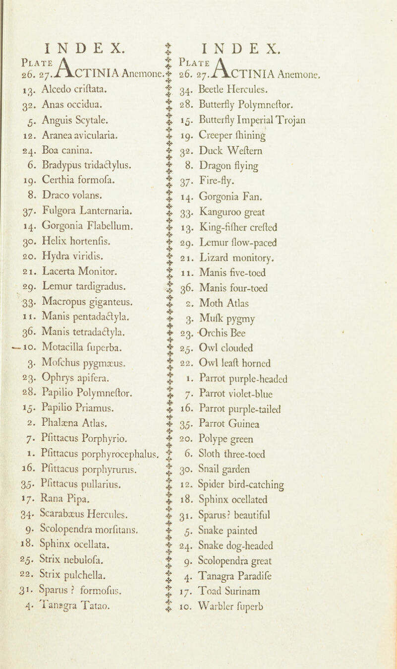 INDEX. * INDEX. Plate A % 26. 27. ijLCTINIA Anemone.* Plate A 26. 27.XXCTINIA Anemone 13. Alcedo criftata. * # 34. Beetle Hercules. 32. Anas occidua. * * 28. Butterfly Polymneftor. 5. Anguis Scytale. * * 15. Butterfly Imperial Trojan 12. Araneaavicularia. ■* * * 19. Creeper fhining 24. Boa canina. 32. Duck Weftern 6. Brady pus tridaclylus. 8. Dragon flying 19. Certhia formofa. * * 37. Fire-fly. 8. Draco volans. * 14. Gorgonia Fan. 37. Fulgora Lanternaria. * * 33. Kanguroo great 14. Gorgonia Flabellum. * <*< 13. King-fifher crefted 30. Helix hortenfis. ■* 29. Lemur flow-paced 20. Hydra viridis. * * 21. Lizard monitory. 21. Lacerta Monitor. * *> 11. Manis five-toed 29. Lemur tardigradus. * * 36. Manis four-toed 33. Macropus giganteus. * 2. Moth Atlas 11. Manis pentadactyla. 3. Mufk pygmy 36. Manis tetradactyla. * 23. Orchis Bee — 10. Motacilla fuperba. 25. Owl clouded 3. Mofchus pygmxus* * 22. Owl leaft horned 23. Ophrys apifera. * * 1. Parrot purple-headed 28. Papilio Polymneftor. * 7. Parrot violet-blue 15. Papilio Priamus. * ♦ 16. Parrot purple-tailed 2. Phala^na Atlas. * At 35. Parrot Guinea 7. Pfittacus Porphyrio. 4 20. Polype green 1. Pfittacus porphyrocephalus. * 6. Sloth three-toed 16. Pfittacus porphyrurus. * * 30. Snail garden 35. Pfittacus pullarius. * 12. Spider bird-catching 17. Rana Pipa. * * 18. Sphinx ocellated 34. Scarabceus Hercules. * * 31. Sparus r beautiful 9. Scolopendra morfitans. * 5. Snake painted 18. Sphinx ocellata. 24. Snake dog-headed 25. Strix nebulofa. 9. Scolopendra great 22. Strix pulchella. * 4. Tanagra Paradife 31. Sparus ? formofus. * * ij. Toad Surinam 4. Tansgra Tatao. * * 10. Warbler fupcrb