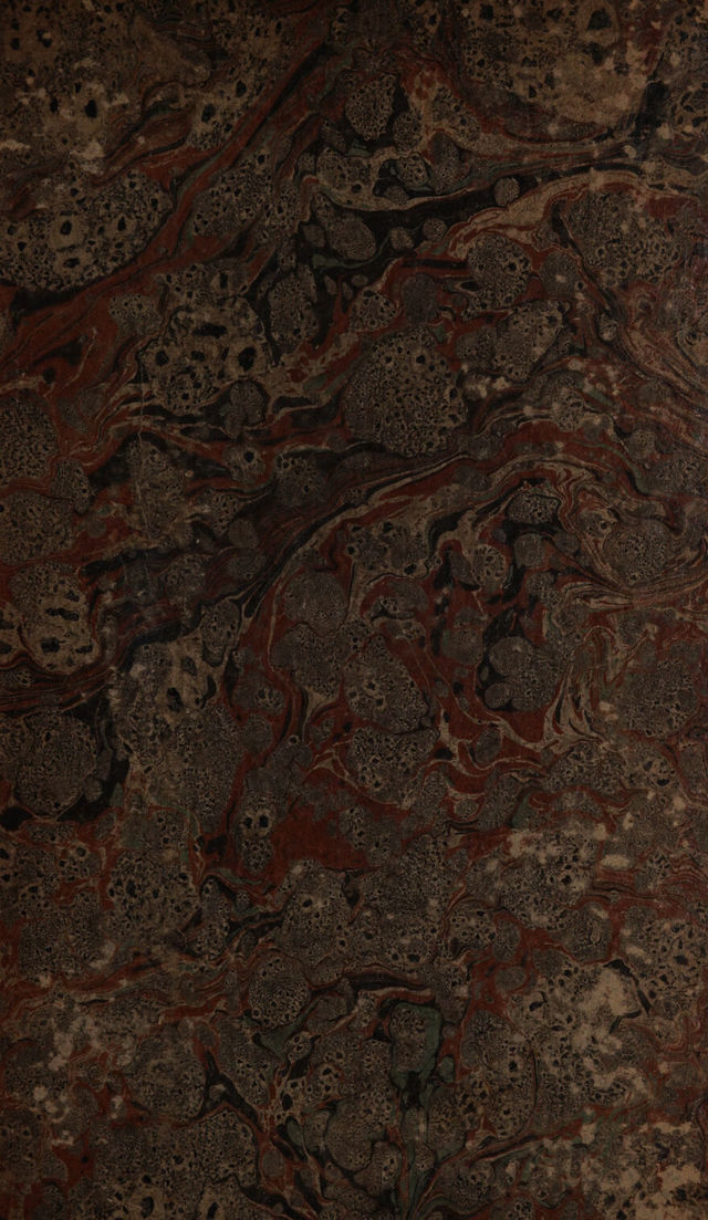 No text description is available for this image