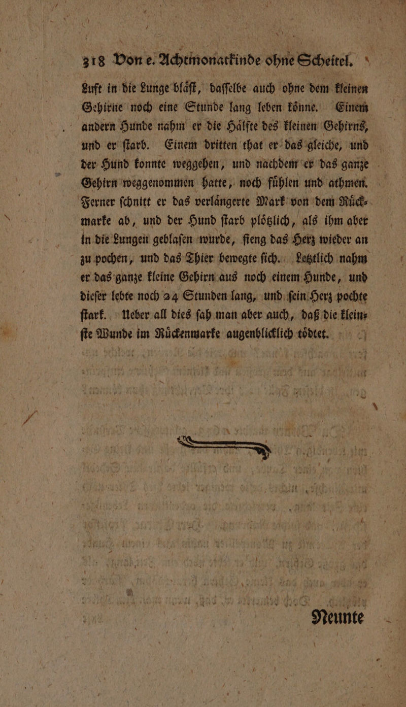 7 1 318 von e. Achemonattde ohne Scheitel, \ Luft in die Lunge blaͤſt, baſſelbe auch ohne dem kleinen Gehirne noch eine Stunde lang leben könne. Einem und er ſtarb. Einem dritten that er das gleiche, und der Hund konnte weggehen, und nachdem er das ganze 5 Gehirn weggenommen hatte, noch fuͤhlen und athmen. Ferner fehnitt er das verlängerte Mark von dem Ruͤck⸗ marke ab, und der Hund ſtarb ploͤtzlich, als ihm aber in die Lungen geblaſen wurde, ſieng das Herz wieder an zu pochen, und das Thier bewegte ſich. Letztlich nahm er das ganze kleine Gehirn aus noch einem Hunde, und dieſer lebte noch 24 Stunden lang, und ſein Herz pochte ſtark. Ueber all dies ſah man aber auch, daß die klein⸗ hi e im ü ue toͤdiet. 4 65 104 5 \ * N * * Dr neee * 0 \