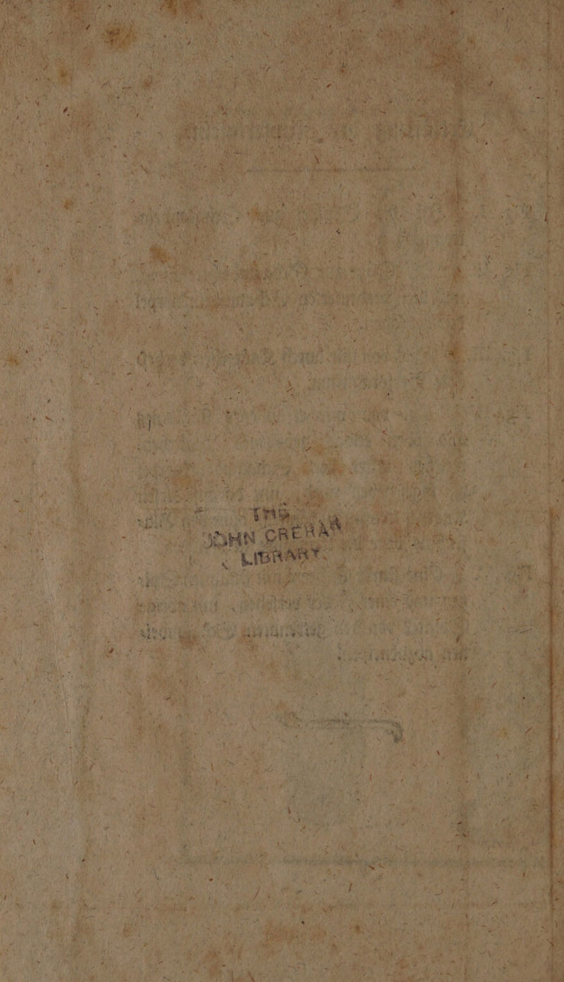 n a n N ER * we J 67 6 * 5