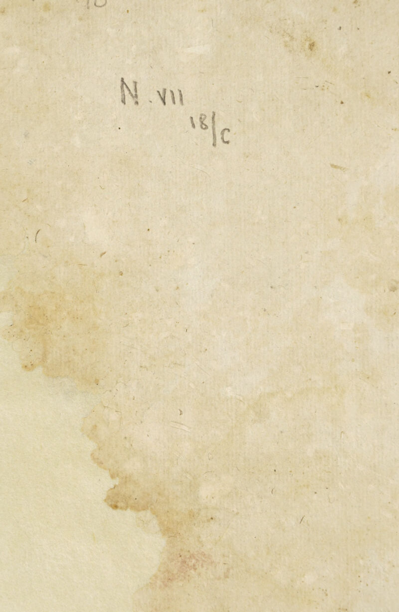 t I r ■í ? v; ( **' • ' > % \ V'