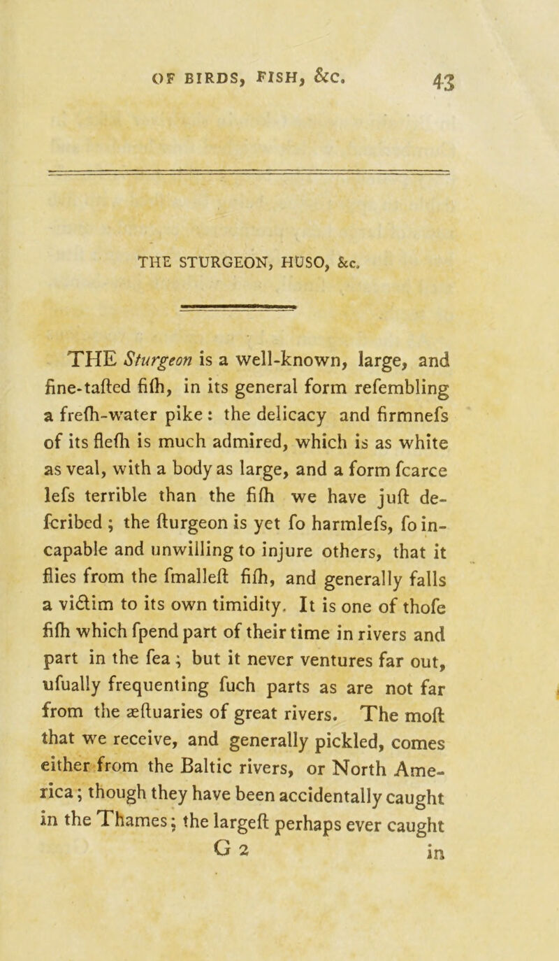 THE STURGEON, HUSO, See, THE Sturgeon is a well-known, large, and fine-tafted fifh, in its general form refembling a frefh-water pike : the delicacy and firmnefs of its flefh is much admired, which is as white as veal, with a body as large, and a form fcarce lefs terrible than the fifh we have juft de- feribed ; the fturgeon is yet fo harmlefs, fo in- capable and unwilling to injure others, that it flies from the fmalleft fifh, and generally falls a vi&im to its own timidity. It is one of thofe fifh which fpend part of their time in rivers and part in the fea; but it never ventures far out, ufually frequenting fuch parts as are not far from the aeftuaries of great rivers. The moft that we receive, and generally pickled, comes either from the Baltic rivers, or North Ame- rica ; though they have been accidentally caught in the Thames; the largeft perhaps ever caught