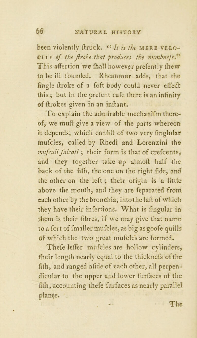 been violently (truck. “ It is the mere velo- city of the Jiroke that produces the numbnefs.” This affertion we (hall however prefently (hew to be ill founded. Rheaumur adds, that the fingle (troke of a foft body could never effedt this ; but in the prefent cafe there is an infinity of (trokes given in an inftant. To explain the admirable mechanifm there- of, we muft give a view of the parts whereon it depends, which confift of two very finglular mufcles, called by Rhedi and Lorenzini the vmfculi falcati ; their form is that of crefcents, and they together take up almoft half the back of the fifh, the one on the right fide, and the other on the left ; their origin is a little above the mouth, and they are feparated from each other by thebronchia, intothe lad: of which they have their infertions. What is fingular in them is their fibres, if we may give that name to a fort of fmaller mufcles, as big as goofe quills of which the two great mufcles are formed. Thefe lefier mufcles are hollow cylinders, their length nearly equal to the thicknefs of the fifh, and ranged afide of each other, all perpen- dicular to the upper and lower furfaces of the fifh, accounting thefe furfaces as nearly parallel planes. The