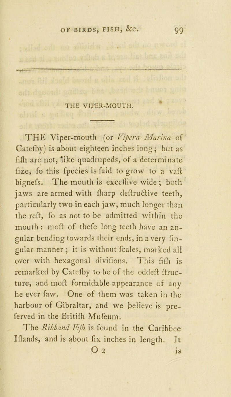 THE VIPER-MOUTH. THE Viper-mouth (or Vipera Marina of Catefby) is about eighteen inches long; but as fifh are not, like quadrupeds, of a determinate fize, fo this fpecies is faid to grow to a vaft bignefs. The mouth is excellive wide ; both jaws are armed with fharp deftrudtive teeth, particularly two in each jaw, much longer than the reft, fo as not to be admitted within the mouth : moft of thefe long teeth have an an- gular bending towards their ends, in a very lin- gular manner; it is without fcales, marked all over with hexagonal divifions. This filh is remarked by Catefby to be of the oddeft ftruc- ture, and moft formidable appearance of any he ever faw. One of them was taken in the harbour ot Gibraltar, and we believe is pre- ferved in the Britifh Mufeiim. The Ribband Fijh is found in the Caribbee Illands, and is about fix inches in length. Jt O 2 is