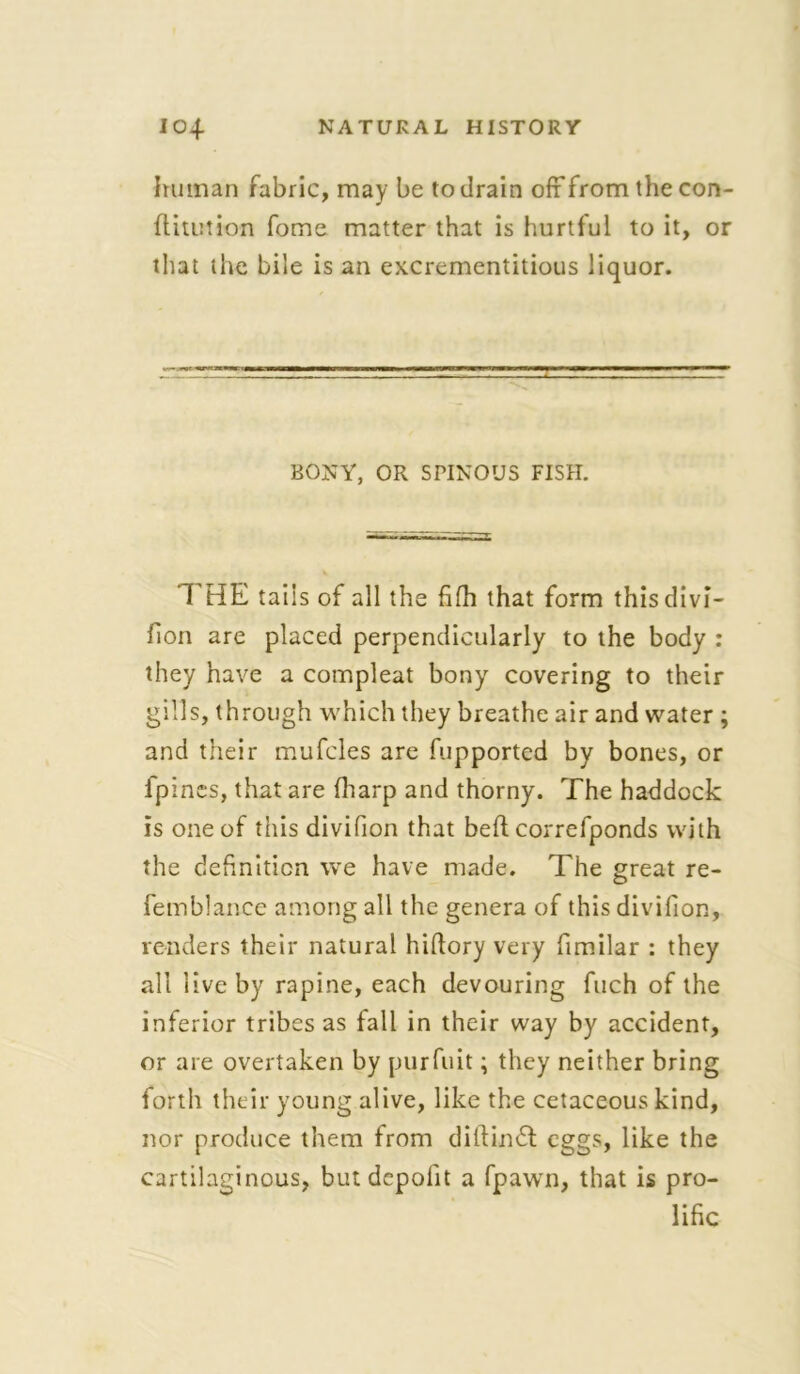 human fabric, may be to drain ofi from the con- ditution fome matter that is hurtful to it, or that the bile is an excrementitious liquor. BONY, OR SPINOUS FISH. THE tails of all the fifh that form thisdivi- fion are placed perpendicularly to the body : they have a compleat bony covering to their gills, through which they breathe air and water ; and their mufcles are fupported by bones, or fpines, that are (harp and thorny. The haddock is one of this divifion that bed. correfponds with the definition we have made. The great re- femblance among all the genera of this divifion, renders their natural hidory very fimilar : they all live by rapine, each devouring fuch of the inferior tribes as fall in their way by accident, or are overtaken by purfuit; they neither bring forth their young alive, like the cetaceous kind, nor produce them from didindt eggs, like the cartilaginous, but dcpofit a fpawn, that is pro- lific