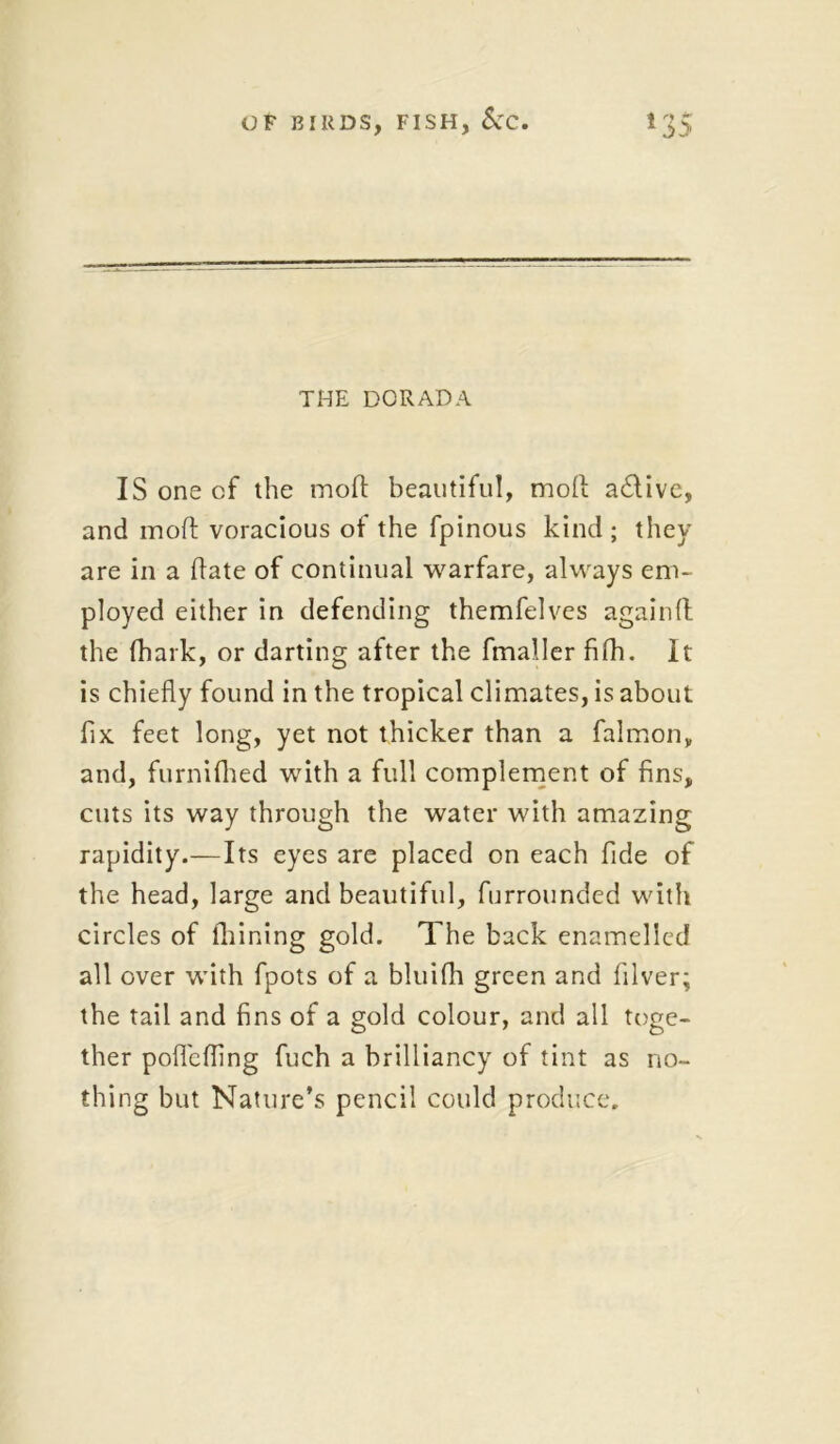 THE DORADA ISonecf the mod beautiful, mod a&ive, and mod voracious of the fpinous kind; they are in a date of continual warfare, always em- ployed either in defending themfelves againd the (hark, or darting after the fmaller filh. It is chiefly found in the tropical climates, is about fix feet long, yet not thicker than a falmon, and, furnifhed with a full complement of fins, cuts its way through the water with amazing rapidity.—Its eyes are placed on each fide of the head, large and beautiful, furrounded with circles of fhining gold. The back enamelled all over with fpots of a bluifh green and diver; the tail and fins of a gold colour, and all toge- ther poflcfiing fuch a brilliancy of tint as no- thing but Nature’s pencil could produce.