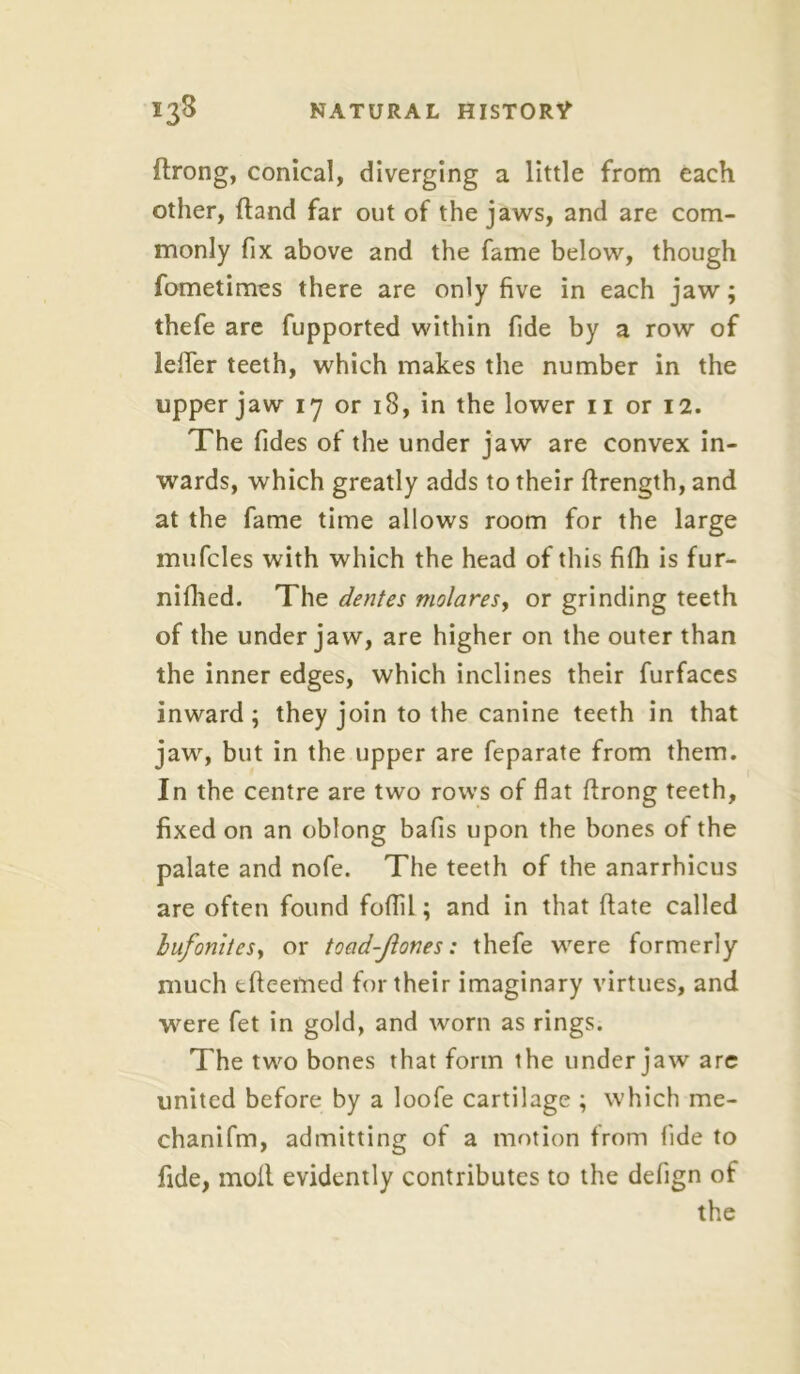 ftrong, conical, diverging a little from each other, (land far out of the jaws, and are com- monly fix above and the fame below, though fometimes there are only five in each jaw; thefe are fupported within fide by a row of lefler teeth, which makes the number in the upper jaw 17 or iS, in the lower 11 or 12. The Tides of the under jaw are convex in- wards, which greatly adds to their ftrength, and at the fame time allows room for the large mufcles with which the head of this fifh is fur- nifhed. The dentes molares> or grinding teeth of the under jaw, are higher on the outer than the inner edges, which inclines their furfaccs inward ; they join to the canine teeth in that jaw, but in the upper are feparate from them. In the centre are two rows of flat ftrong teeth, fixed on an oblong bafis upon the bones of the palate and nofe. The teeth of the anarrhicus are often found foflil; and in that (late called bufoni/es, or toad-fiones: thefe were formerly much tfteemed for their imaginary virtues, and were fet in gold, and worn as rings. The two bones that form the under jaw are united before by a loofe cartilage ; which me- chanifm, admitting of a motion from fide to fide, moll evidently contributes to the defign of the