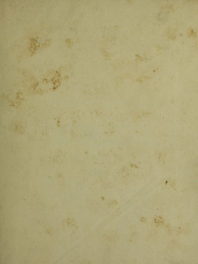 digitised image 3