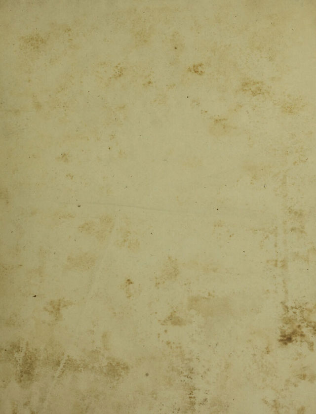 digitised image 3