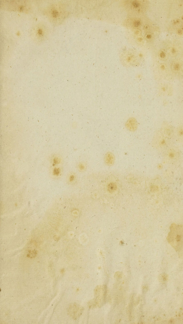 digitised image 3