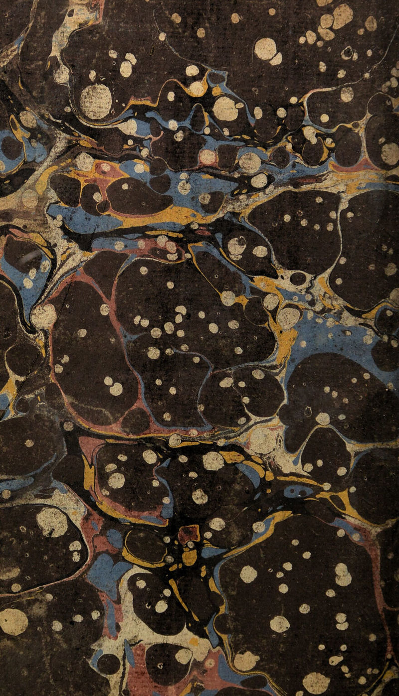 No text description is available for this image