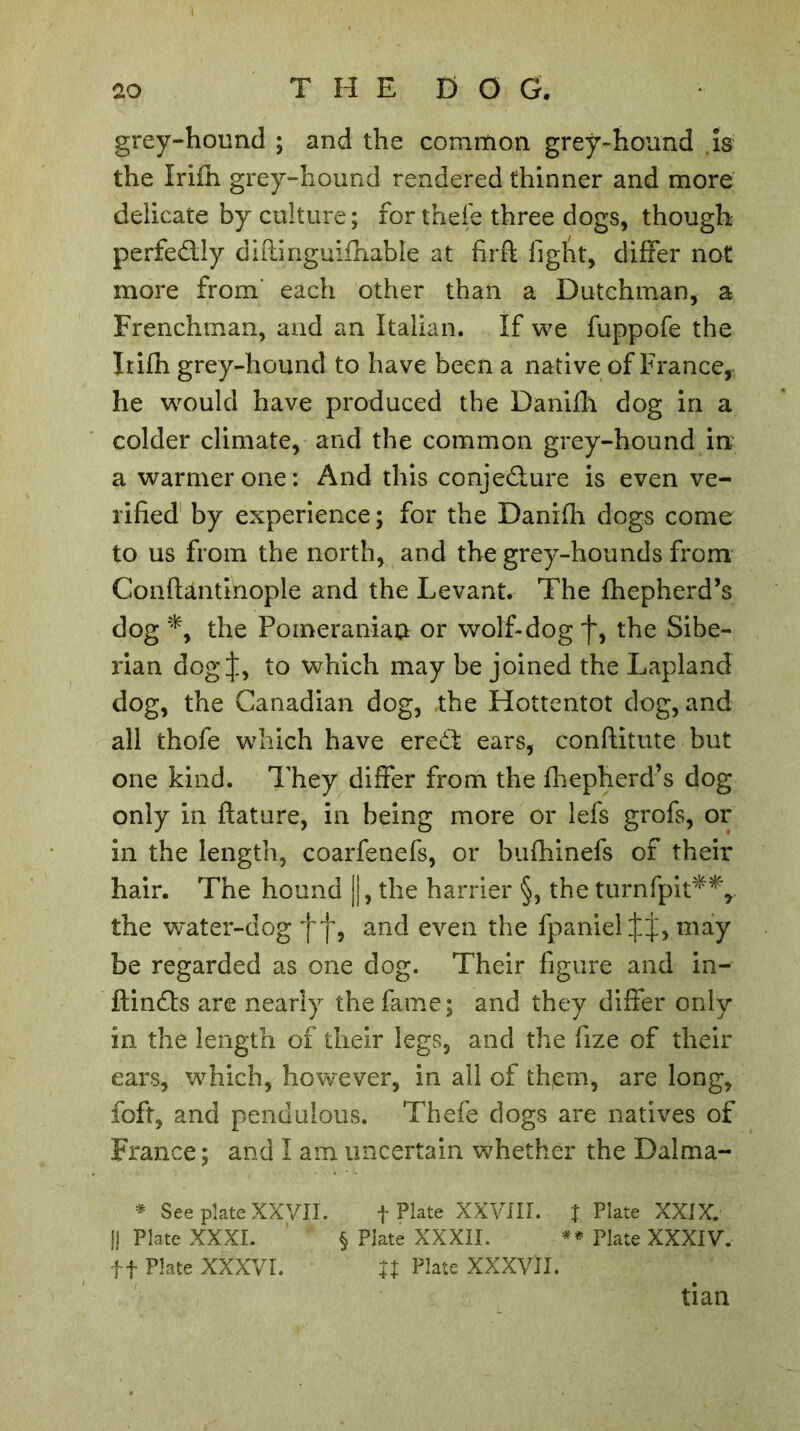 grey-hound ; and the common greÿ-hound is the Irifh grey-hound rendered thinner and more delicate by culture ; for thefe three dogs, though perfedly diftinguifhable at firft figlit, differ not more from' each other than a Dutchman, a Frenchman, and an Italian. If we fuppofe the It ifh grey-hound to have been a native of France, he would have produced the Daniih dog in a colder climate, and the common grey-hound in a warmer one: And this conjedure is even ve- rified by experience; for the Danifli dogs come to us from the north, and the grey-hounds from Conflantinople and the Levant. The fhepherd’s dog*, the Pomeranian or wolf-dogf, the Sibe- rian dog I, to which may be joined the Lapland dog, the Canadian dog, .the Hottentot dog, and all thofe which have ered ears, conftitute but one kind. They differ from the fhepherd’s dog only in ftature, in being more or lefs grofs, or in the length, coarfenefs, or bufhinefs of their hair. The hound j|, the harrier §, the turnfpit**, the water-dog f f, and even the fpaniel jmay be regarded as one dog. Their figure and in- ftin&s are nearly the fame; and they differ only in the length of their legs, and the fize of their ears, which, however, in all of them, are long, foft, and pendulous. Thefe dogs are natives of France ; and I am uncertain whether the Dalma- * See plate XXVII. f Plate XXVIII. J Plate XXIX. jj Plate XXXI. § Plate XXXII. ** Plate XXXIV. ft Plate XXXVI. U Plate XXXVII. tian