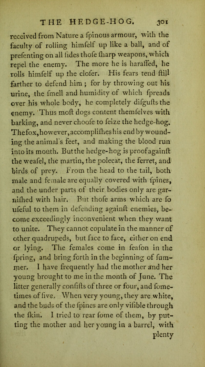 received from Nature a fpinous armour, with the faculty of rolling himfelf up like a ball, and of prefenting on all tides thofe ftiarp weapons, which repel the enemy. The more he is harafled, he rolls himfelf up the clofer. His fears tend ftill farther to defend him ; for by throwing out his urine, the fmell and humidity of which fpreads over his whole body, he completely difgufts the enemy. Thus moft dogs content themfelves with barking, and never choofe to feize the hedge-hog. Thefox,however, accomplices his end by wound- ing the animal’s feet, and making the blood run into its mouth. Butthe hedge-hog is proofagainft the weafel, the martin, the polecat, the ferret, and birds of prey. From the head to the tail, both male and female are equally covered with fpines, and the under parts of their bodies only are gar- nifhed writh hair. But thofe arms which are fo ufeful to them in defending againft enemies, be- come exceedingly inconvenient when they want to unite. They cannot copulate in the manner of other quadrupeds, but face to face, either on end or lying. The females come in feafon in the fpring, and bring forth in the beginning of fum- jper. I have frequently had the mother and her young brought to me in the month of June. The litter generally confifts of three or four, and fome- times of five.» When very young, they are white, and the buds of the fpines are only vifible through the fkih. I tried to rear fome of them, by put- ting the mother and her young in a barrel, with plenty