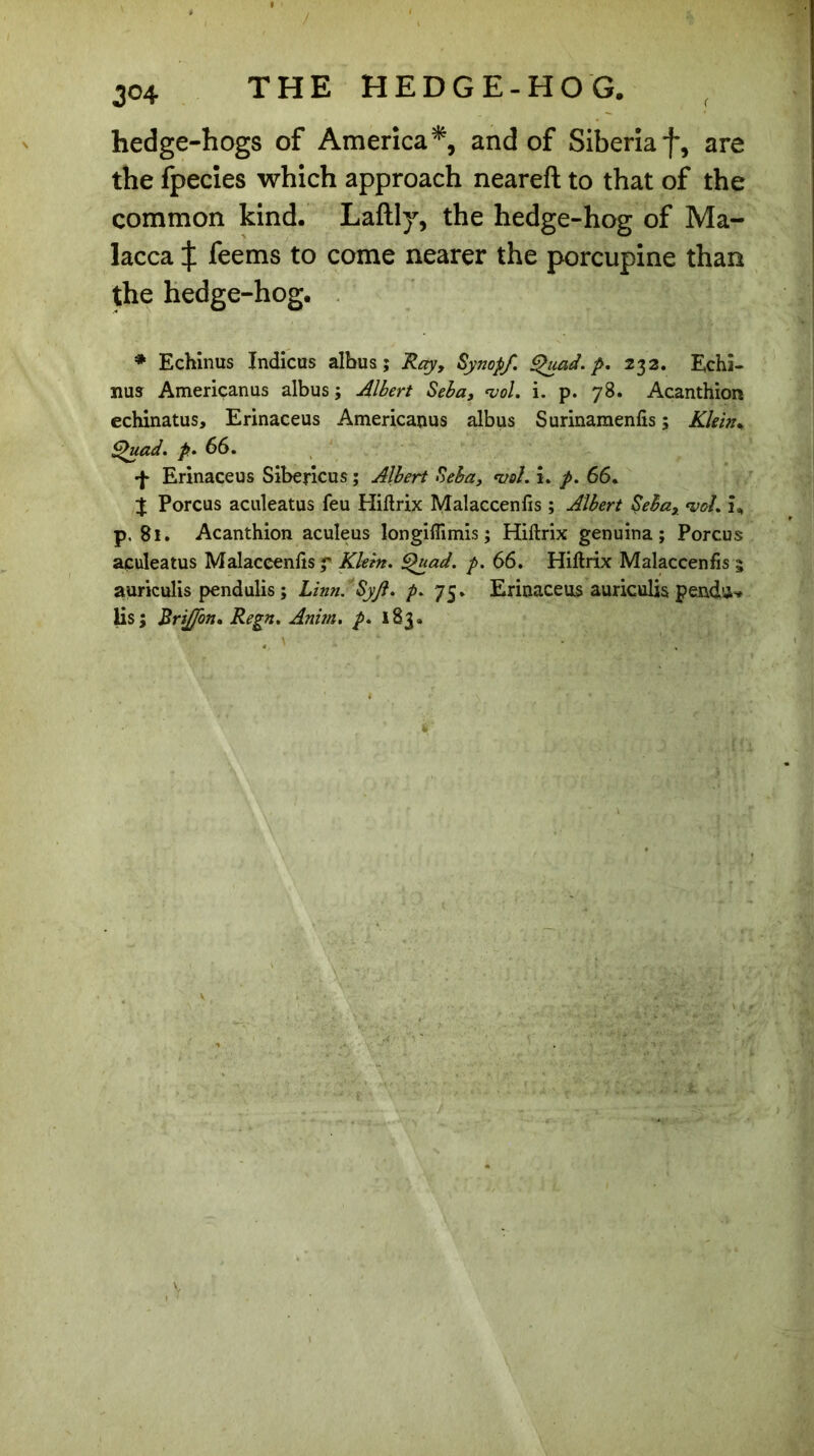 ( hedge-hogs of America*, and of Siberiaf, are the fpecies which approach neareft to that of the common kind. Laftly, the hedge-hog of Ma- lacca X feems to come nearer the porcupine than the hedge-hog. * Echinus Indicus alhus ; Ray, Synopf. Quad, p, 232. Echi- nus Americanus albus ; Albert Seba, vol. i. p. 78. Acanthion echinatus, Erinaceus Americanus albus Surinamenfis ; Klein* Quad. p. 66. ■f Erinaceus Sibericus ; Albert Seba, njol. i. p. 66. X Porcus aculeatus feu Hiftrix Malaccenfis ; Albert Seba, <vol. i, p. 81. Acanthion aculeus longiflimis ; Hiftrix genuina ; Porcus aculeatus Malaccenfis f Klein. Quad. p. 66. Hiftrix Malaccenfis 5 auriculis pendulis ; Linn. Syjl. p. 75. Erinaceus auriculis pendu>* lis; Rrijfon* Regn. Anm. p. 183.