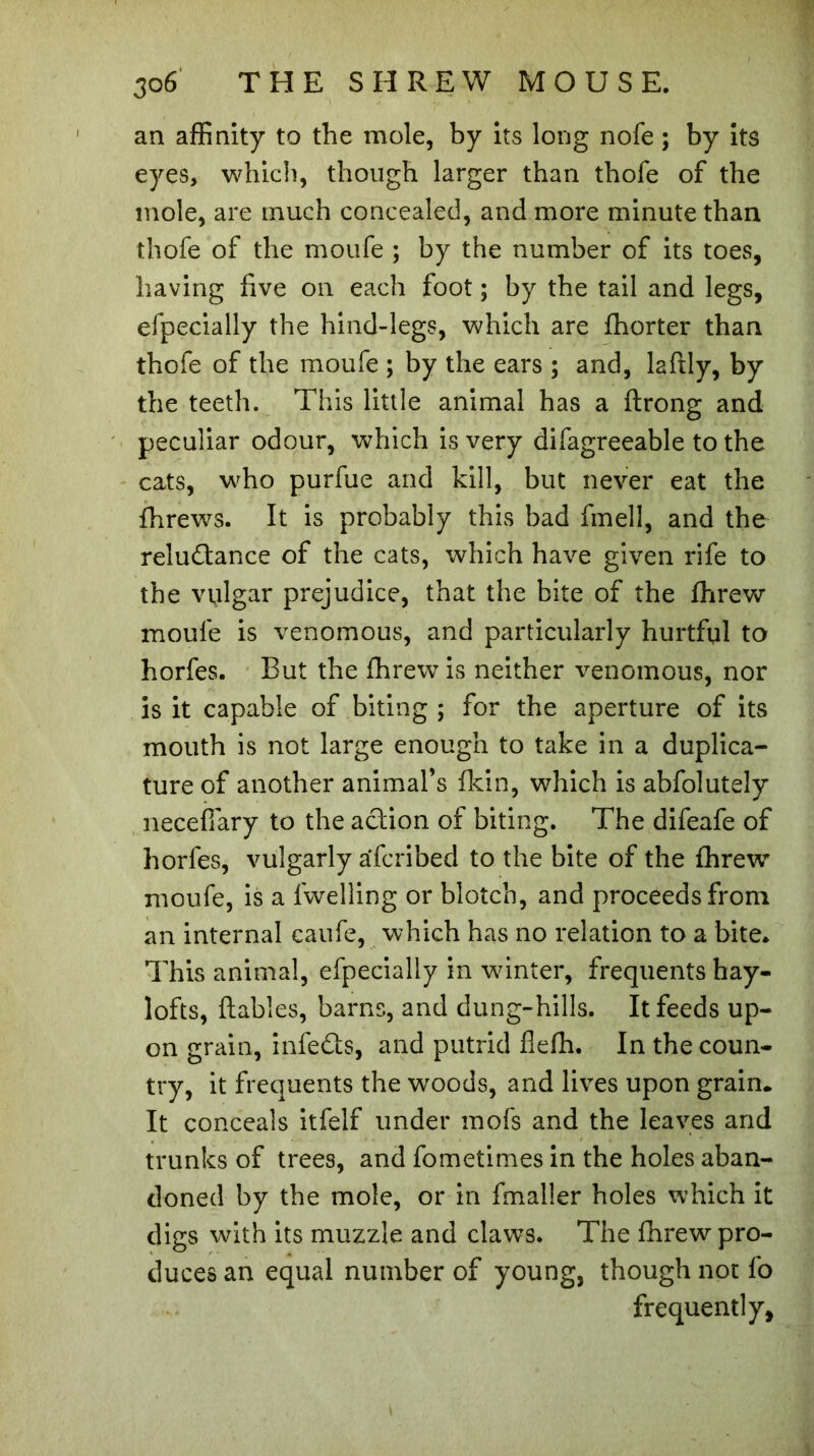 an affinity to the mole, by its long nofe ; by its eyes, which, though larger than thofe of the mole, are much concealed, and more minute than thofe of the moufe ; by the number of its toes, having five on each foot ; by the tail and legs, efpecially the hind-legs, which are fhorter than thofe of the moufe ; by the ears ; and, laftly, by the teeth. This little animal has a ftrong and peculiar odour, which is very difagreeable to the cats, who purfue and kill, but never eat the fhrews. It is probably this bad fmell, and the reludtance of the cats, which have given rife to the vylgar prejudice, that the bite of the fhrew moufe is venomous, and particularly hurtful to horfes. But the fhrew is neither venomous, nor is it capable of biting ; for the aperture of its mouth is not large enough to take in a duplica- ture of another animal’s fkin, which is abfolutely necefiary to the action of biting. The difeafe of horfes, vulgarly afcribed to the bite of the fhrew moufe, is a fwelling or blotch, and proceeds from an internal caufe, which has no relation to a bite. This animal, efpecially in winter, frequents hay- lofts, fiables, barns, and dung-hills. It feeds up- on grain, infedts, and putrid flefh. In the coun- try, it frequents the woods, and lives upon grain. It conceals itfelf under mofs and the leaves and trunks of trees, and fometimes in the holes aban- doned by the mole, or in finaller holes which it digs with its muzzle and claws. The fhrew pro- duces an equal number of young, though not fo frequently.