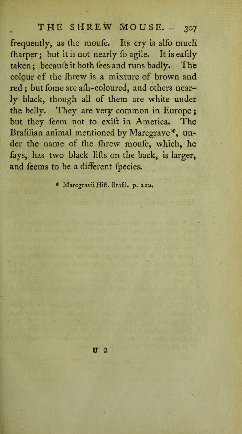 frequently, as the moufe. Its cry is alfo much fharper ; but it is not nearly fo agile. It is eafily taken ; becaufé it both fees and funs badly. The colour of the fhrew is a mixture of brown and red ; but fome are afh-coloured, and others near- ly black, though all of them are white under the belly. They are Very common in Europe ; but they feem not to exift in America* The Brafilian animal mentioned by Marcgrave*, urn- der the name of the fhrew moufe, which, he fays, has two black lifts on the back, is larger, and feems to be a different fpecies. * MarcgraviLHift. Brafil. p. 220.