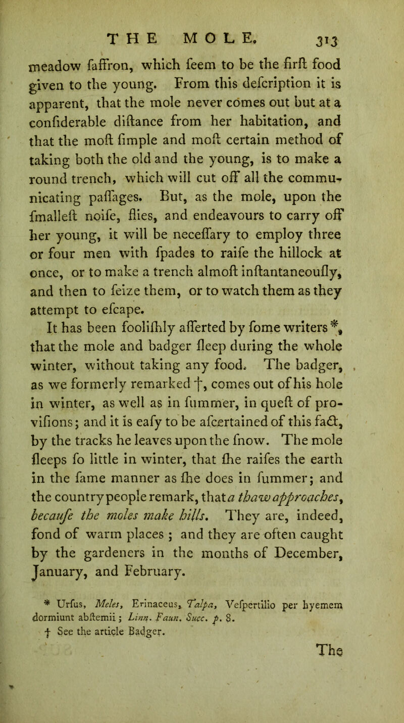 meadow faffron, which feem to be the firft food given to the young. From this defcription it is apparent, that the mole never comes out but at a confiderable diftance from her habitation, and that the moft fimple and moil certain method of taking both the old and the young, is to make a round trench, which will cut off all the commu- nicating paffages. But, as the mole, upon the fmalleft noife, flies, and endeavours to carry off her young, it will be neceffary to employ three or four men with fpades to raife the hillock at once, or to make a trench almofl: inftantaneoufly, and then to feize them, or to watch them as they attempt to efcape. It has been foolifhly afferted by fome writers % that the mole and badger fleep during the whole winter, without taking any food. The badger, as we formerly remarked j~, comes out of his hole in winter, as well as in fumrner, in queft of pro- vifions ; and it is eafy to be afcertained of this fad:, by the tracks he leaves upon the fnow. The mole fleeps fo little in winter, that fhe raifes the earth in the fame manner as fhe does in fumrner; and the country people remark, that <2 thaw approaches, becanfe the moles make hills. They are, indeed, fond of warm places ; and they are often caught by the gardeners in the months of December, January, and February. * Urfus, Me les, Erinaceus* Talpa, Vefpertilio per hyemem dormiunt ab&emii ; Linn. Faun. Succ. p. 8. f See the article Badger. Tho