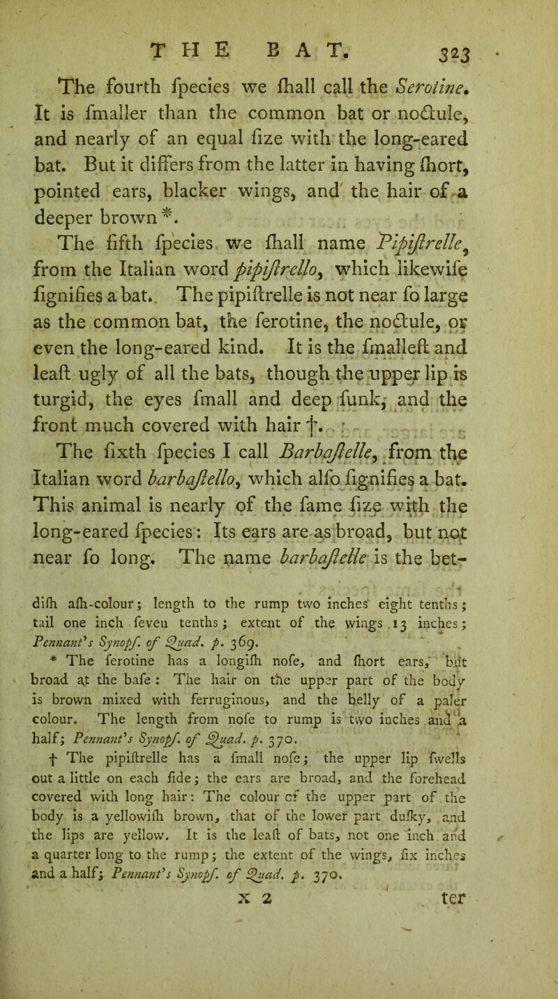 3*3 The fourth fpecies we fhall call the Serotine. It is fmaller than the common bat or nodule, and nearly of an equal fize with the long-eared bat. But it differs from the latter in having fhort, pointed ears, blacker wings, and' the hair of a deeper brown The fifth fpecies we fhall name Fipijlrellef from the Italian word pipijlrello^ which likewife fignifies a bat. The pipiftrelle is not near fo large as the common bat, the ferotine, the nodule, or even the long-eared kind. It is the fmalleft and leaft ugly of all the bats, though the upper lip is turgid, the eyes fmall and deep funk, and the front much covered with hair f. The fixth fpecies I call Barbqflelle, from the Italian word barbajlello, which alfo fignifies a bat. This animal is nearly of the fame fize with the long-eared fpecies : Its ears are as broad, but not near fo long. The name barbajlelie is the bet- difh afti-colour; length to the rump two inches' eight tenths; tail one inch feven tenths ; extent of the wings 13 inches ; Pennant's Synopf. of Quad. p. 369. * The ferotine has a longilh nofe, and fhort ears, but broad at the bafe : The hair on the upper part of the body is brown mixed with ferruginous, and the belly of a paler colour. The length from nofe to rump is two inches and a half; Pennant's Synopf. of Qhzad. p. 370. f The pipiftrelle has a fmall nofe ; the upper lip fwells out a little on each fide ; the ears are broad, and the forehead covered with long hair : The colour cf the upper part of the body is a yellowifti brown, that of the lower part dufky, and the lips are yellow. It is the leaft of bats, not one inch and a quarter long to the rump ; the extent of the wings, fix inches and a half; Pennant's Synopf. of Quad. p. 370. X 2 ter