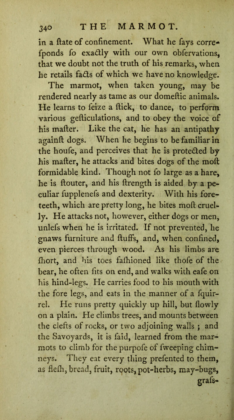 in a ftate of confinement. What he fays corre* fponds fo exactly with our own obfervations, that we doubt not the truth of his remarks, when he retails fads of which we have no knowledge. The marmot, when taken young, may be rendered nearly as tame as our domeftic animals. He learns to feize a ftick, to dance, to perform various gefticulations, and to obey the voice of his matter* Like the cat, he has an antipathy againft dogs. When he begins to be familiar in the houfe, and perceives that he is proteded by his matter, he attacks and bites dogs of the molt formidable kind. Though not fo large as a hare, he is ftouter, and his ftrength is aided by a pe- culiar fupplenefs and dexterity. With his fore- teeth, which are pretty long, he bites molt cruel- ly. He attacks not, however, either dôgs or men, unlefs when he is irritated. If not prevented, he gnaws furniture and fluffs, and, when confined, even pierces through wood. As his limbs are fhort, and his toes fafhioned like thofe of the bear, he often fits on end, and walks with eafe on his hind-legs. He carries food to his mouth with the fore legs, and eats in the manner of a fquir- rel. He runs pretty quickly up hill, but flowly on a plain. He climbs trees, and mounts between the clefts of rocks, or two adjoining walls ; and the Savoyards, it is faid, learned from the mar- mots to climb for the purpofe of fweeping chim- neys. They eat every thing prefented to them, as fiefh, bread, fruit, roots, pot-herbs, may-bugs, grafs-