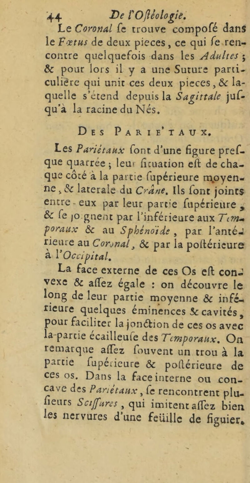 Le Coronal fe trouve compofé dans le F'Xtus de deux pièces, ce qui Te.ren- contre quelquefois dans les Adultes j & pour lors il y a une Suture parti, culiére qui unit ces deux pièces,ôc la- quelle s’étend depuis la Sagittale juf- qu’à la racine du Nés. Des Parie’taux. Les Pariétaux font d’une figure pref- que quarrée ; leur ficuation eft de cha- que côté à la partie fupérieure nvoyen- ne,& latérale du Crâne, Ils font joints entre-eux parleur partie fupérieure, & fe jO.gnent par l’inférieure aux Tint- poraux èc au Sphénoïde , par l’anteJ rieiue au Coronal^ ôc par la poltéricure a VOccipital, La face externe de ces Os eft conJ vexe Sc aftez égale : on découvre le long de leur partie moyenne & infé- rieure quelques éminences 5<: cavités , pour faciliter la jonéfcion de ces os avec la-partie ecailleufe des Temporaux, On remarque afTez fouvent un trou à la partie fupericure & poftérieure de ces os. Dans la face interne ou con- cave des Pariétaux, fe rencontrent plu- lieurs Scijfures ^ qui imitentaflez bien les nervures d une feuille de figuier»