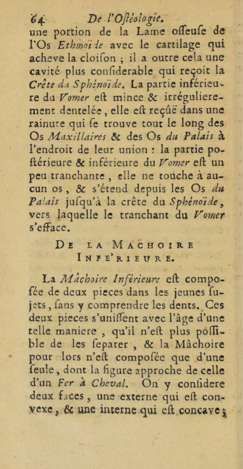 {^4 rofièologie, une portion de la Lame ofleufe de rOs Ethmoiie avec le cartilage qui achevé la cloifon ; il a outre cela une cavité plus confiderable qui reçoit la Crête d.i Sphérieide, La partie inférieur re du Vomer eft mince & irrégulière- ment dentelée , elle eft reçue dans une rainure qui fe trouve tout le long des Os Maxillaires & des Os du Palais à l’endroit de leur union : la partie po- ftérieure & inférieure du Vomer eft un peu tranchante , elle ne touche à au- cun os , & s’étend depuis les Os du Palais jufqu’à la crête du Sphénoïde y vers laquelle le tranchant du Vomer s’efface. De la Mâchoire In? e’RIEUR E. La Mâchoire Inférieure eft compo- fée de deux pièces dans les jeunes fu- jets, fans y comprendre les dents. Ces deux pièces s’unifTent avec l’âge d’une telle maniéré , qu’il n’eft plus pofti- ble de les feparer , & la Mâchoire pour lors n’eft compofée que d’une feule, dont la figure approche de celle d’un Fer a Cheval. On y conlidere deux faces, une externe qui eft con- vexe, & une interne qui cft.concavc|^