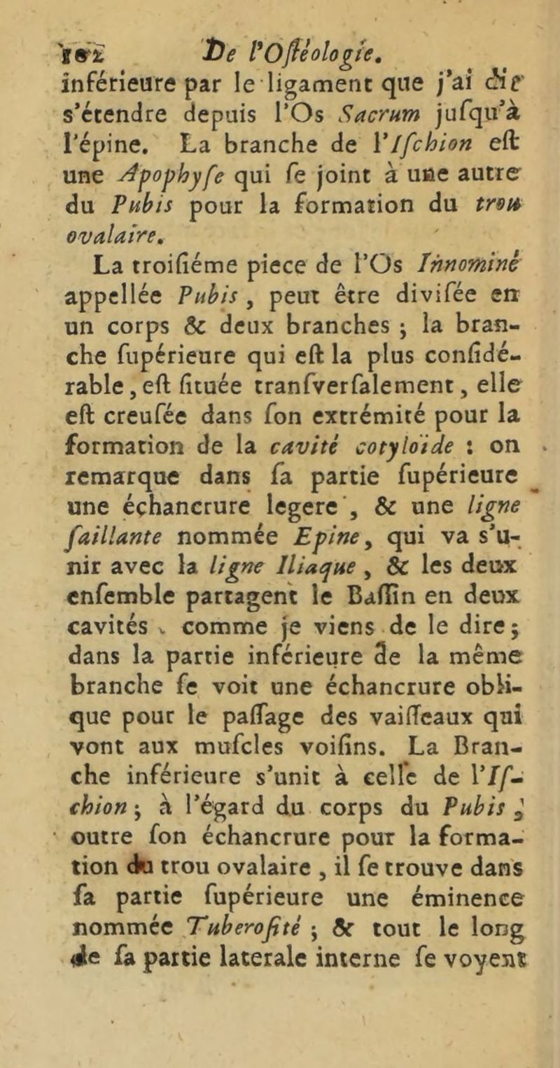 'i&± 2)e VOfleologie, inférieure par le ligament que j’ai àit s’étendre depuis l’Os Sacrum jufqu’à l’épine. La branche de VIfchion eft une Apophyfe qui fe joint à une autre du Puhis pour la formation du trsià ovalaire» La troifiéme piece de l’Os Innominé appcllée Pubis , peut être divifée eu un corps & deux branches j la bran- che fupérieure qui eft la plus confîdé- rable,eft fituée tranfverfalement, elle eft creufée dans fon extrémité pour la formation de la cavité cotyloide : on . remarque dans fa partie fupérieure une échancrure legere', & une ligne [aillante nommée Epine, qui va s’u- nir avec la ligne Iliaque , & les deux cnfcmble partagent le Balîîn en deux cavités X, comme je viens de le dircj dans la partie inférieure 3e la meme branche fe voit une échancrure obli- que pour le palTage des vaiffcaux qui vont aux mufcles voifins. La Bran- che inférieure s’unit à celle de Vif- chion J à l’égard du corps du Pubis ^ outre fon échancrure pour la forma- tion tki trou ovalaire , il fe trouve dans fa partie fupérieure une éminence nommée Tuberofité -, & tout le long 4e fa partie latérale interne fe voyent