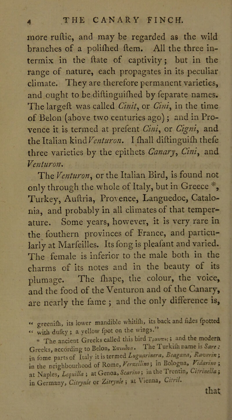 more ruftic, and may be regarded as the wild branches of a polifhed ftem. All the three in- termix in the date of captivity; but in the range of nature, each propagates in its peculiar climate. They are therefore permanent varieties, and ought to be diftinguifhed by feparate names. The largeft was called Cinit, or Cini, in the time of Belon (above two centuries ago); and in Pro- vence it is termed at prefent Cini, or Cigni, and the Italian kind Venturon. I fhall diftinguifh thefe three varieties by the epithets Canary, Cini, and Venturon. The Venturon, or the Italian Bird, is found not only through the whole of Italy, but in Greece *, Turkey, Auftria, Provence, Languedoc, Catalo- nia, and probably in all climates of that temper- ature. Some years, however, it is very rare in the fouthern provinces of France, and particu- larly at Marfeilles. Its fong is pleafant and varied. The female is inferior to the male both in the charms of its notes and in the beauty of its plumage. The fliape, the colour, the voice, and the food of the Venturon and of the Canary, are nearly the fame ; and the only difference is, “ greenifh, its lower mandible whittlh, its back and Tides (potted « with dulky ; a yellow fpot on the wings. * The ancient Greeks called this bird Tpaiwrn; and the modern Greeks, according to Belon, £*>»&««. The Turkiih name is Sore : in fomc parts of Italy it is termed luguarintra, Bcagana, Kaverin-, in the neighbourhood of Rome, Verztilino-, in Bologna, Vtdarino ; at Naples, Lequilla ; at Genoa, Scarino; in the Trcntm, Citrmella; in Germany, Citiynle or Zitrjnle; at \ ienna, that