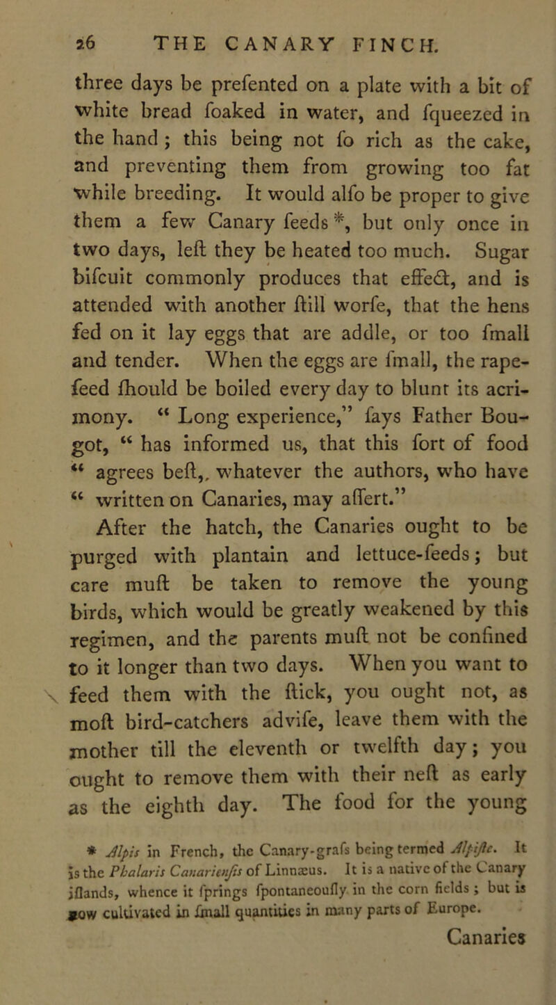 three days be prefented on a plate with a bit of white bread foaked in water, and fqueezed in the hand ; this being not fo rich as the cake, and preventing them from growing too fat while breeding. It would alfo be proper to give them a few Canary feeds *, but only once in two days, left they be heated too much. Sugar bifcuit commonly produces that effect, and is attended with another ftill worfe, that the hens fed on it lay eggs that are addle, or too fmall and tender. When the eggs are fmall, the rape- feed fhould be boiled every day to blunt its acri- mony. “ Long experience,” fays Father Bou- got, “ has informed us, that this fort of food “ agrees beft,„ whatever the authors, who have “ written on Canaries, may aftert.” After the hatch, the Canaries ought to be purged with plantain and lettuce-feeds; but care muft be taken to remove the young birds, which would be greatly weakened by this regimen, and the parents muft not be confined to it longer than two days. When you want to feed them with the flick, you ought not, as moft bird-catchers advife, leave them with the mother till the eleventh or twelfth day; you ought to remove them with their neft as early as the eighth day. The food for the young * Jlpis in French, the Canary-grafs being termed Alfijlc. It is the Phalaris Canaritnjis of Linnaeus. It is a native of the Canary iflands, whence it fprings fpontaneoufly in the corn fields ; but is *ow cultivated in fmall quantities in many parts of Europe. Canaries