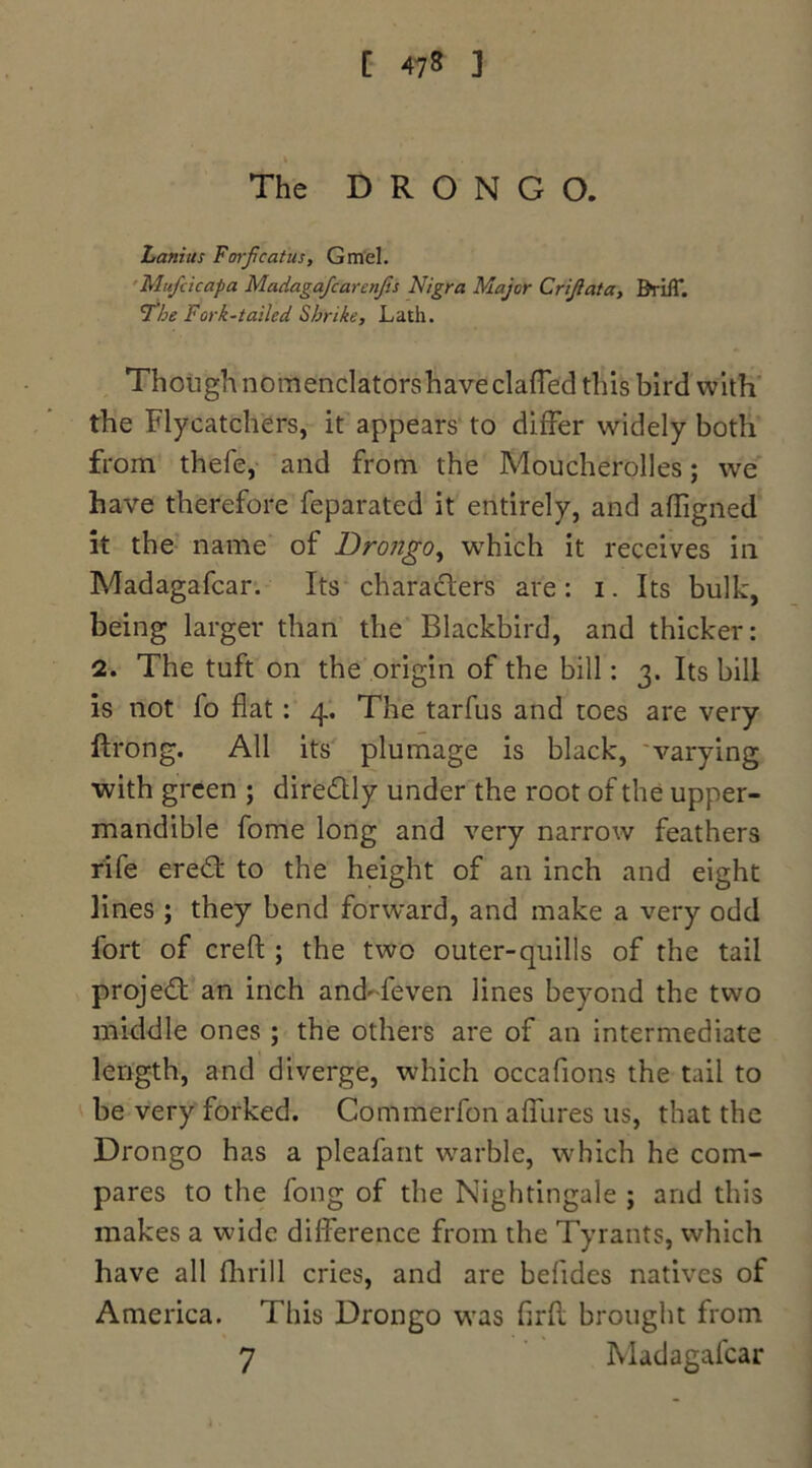 > The D R O N G O. Lanins Forfcatus, Gmel. Mufcicapa Madagafcarenjis Nigra Major Crijlata, Brill*. The Fork-tailed. Shrike, Lath. Though nomenclatorshaveclafled this bird with the Flycatchers, it appears to differ widely both from thefe, and from the Moucherolles; we have therefore feparated it entirely, and afligned it the name of Drongo, which it receives in Madagafcar. Its characters are: i. Its bulk, being larger than the Blackbird, and thicker: 2. The tuft on the origin of the bill: 3. Its bill is not fo flat: 4. The tarfus and toes are very ftrong. All its plumage is black, varying with green ; dire&ly under the root of the upper- mandible fome long and very narrow feathers rife ered to the height of an inch and eight lines ; they bend forward, and make a very odd fort of creft; the two outer-quills of the tail projed an inch and-feven lines beyond the two middle ones ; the others are of an intermediate length, and diverge, which occafions the tail to be very forked. Commerfon affures us, that the Drongo has a pleafant warble, which he com- pares to the fong of the Nightingale ; and this makes a wide difference from the Tyrants, which have all fhrill cries, and are befidcs natives of America. This Drongo was flrfl brought from 7 Madagafcar