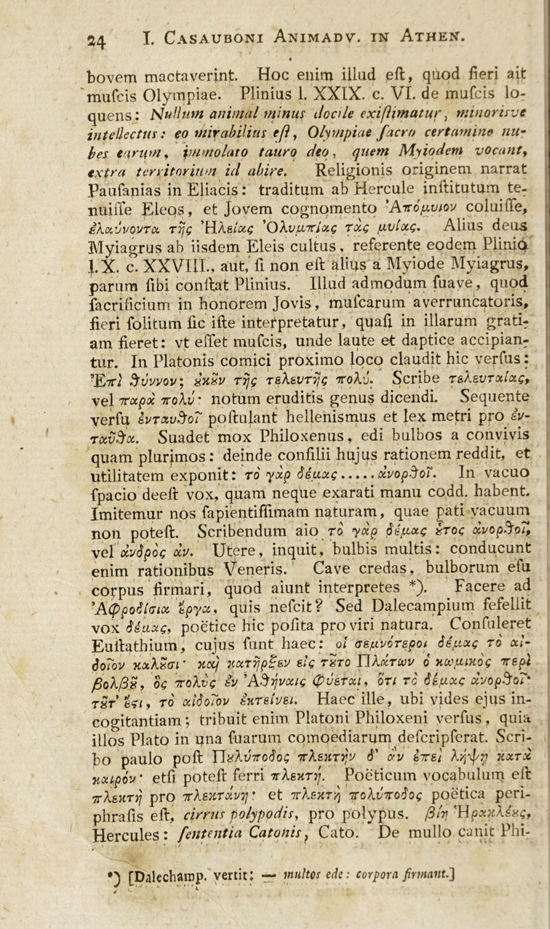 bovem mactaverint. Hoc enim illud eft, quod fieri ait mufcis Olympiae. Plinius 1. XXIX. c. VI. de mufcis lo- quelis: Nullum animal minus i/ocile exifhmatur, ntinorisve intellectus: eo mirabilius e [i, Olympiae facto certamine nu- hes earum, immolaro tauro deo, quem Myiodem vocant, extra territorium id abire. Religionis originem narrat Paufanias inEliacis: traditum ab Hercule inftitutum te- nui ff e Eleos, et Jovem cognomento 'Airopvioy coluiffe, ih&amp;vvovTOi, rrjg ’HAelocg 'OXvncitixg Txg uvlxg. Alius deus Myiagrus ab iisdem Eleis cultus, referente eodem Plinia l.X. c. XXVIII., aut,' fi non eft aliius a Myiode Myiagrus, | parum fibi conftat Plinius. Illud admodum fuave, quod facrificium in honorem Jovis, mufearum averruncatoris, fieri folitum fic ifte interpretatur, quafi in illarum grati- am fieret: vt effet mufcis, unde laute et daptice accipianr tur. In Platonis comici proximo loco claudit hic verfus: ?E7ri Suwov; T7jg TeXsvTTjc ttoAJ. Scribe T&amp;AsvTxixg, vel nrxpx 7roXv * notum eruditis genus dicendi. Sequente verfu &amp;vTav$o? poftulant hellenismus et lex metri pro iv- tkv3x. Suadet mox Philoxenus, edi bulbos a convivis quam plurimos: deinde confilii hujus rationem reddit, et utilitatem, exponit: ro yxp Siuxg..... dvop-JoT. In vacuo fpacio deeft vox, quam neque exarati manu codd. habent. Imitemur nos fapientiffimam naturam, quae pati vacuum non poteft. Scribendum aio ro yxp dt/xxg xrog xvopSoT, vel oivSpog xv. Utere, inquit, bulbis multis: conducunt enim rationibus Veneris. Cave credas, bulborum efu corpus firmari, quod aiunt interpretes *). Facere ad ’A<ppoM(tioi 'ipyx, quis nefeit? Sed Dalecampium fefellit vox iitixe» poetice hic pofita pro viri natura. Confideret Eullathium, cujus funt haec: ol as^vorspoi SlttxgTo xl- doTov KotkSerr xocj mrijpgelg txto TViktivv 6 HCvpiHog vept fioXfijg, oc 7roXvg iv ASrjvoag (pv&amp;rxi, ori rc 6iuxg xvopSoT' T8T efi, ro odSoTov hretvei. Haec ille, ubi vides ejus in- cogitantiam; tribuit enim. Platoni Philoxeni verfus, quia illos Plato in una fuarum comoediarum defcripferat. Scri- bo paulo poft ITxkvTrotioQ TrXenTrjy 6' xv sttei Xqfy kxtx nxipov etfi poteft ferri tsAejcn/. Poeticum vocabulum eft TrX&amp;urrj pro ttXshtxvii • et 7rAear^ 7roAthrodoc poetica peri- phrafis eft, cirrus polypodis, pro polypus. /Blrj Hercules: fententia Catonis. Cato. De mullo canit Phi- [Dalecharop. vertit; — multos ede: corpora firmant.]