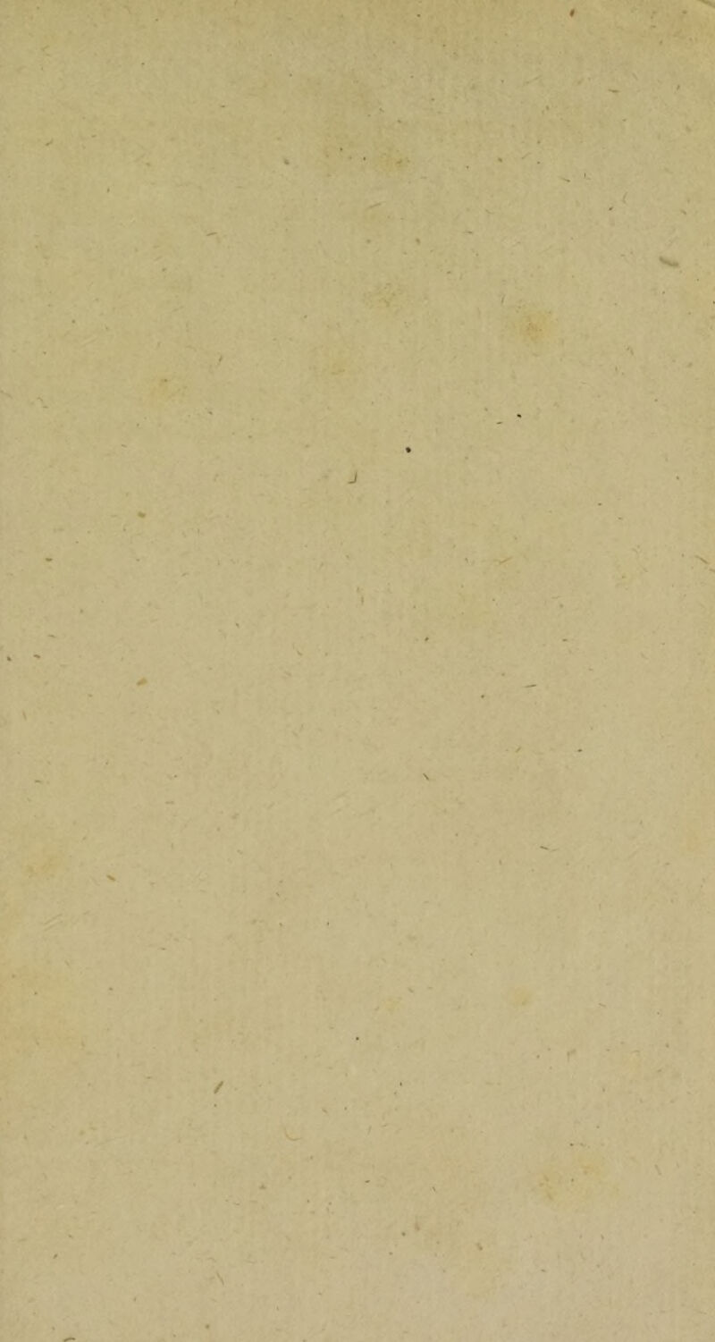 ,*■ '* \ .- ■• •* « •’V ^ f . > ( t \.f J 1 ^ -T ié» • t . • t* / / ' ^ 'S