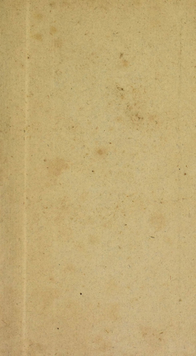 Wv ->■ ■ t V- A ¥ i ■> / / \ #■ N \ I f r “K i * . . ’i'.. V /